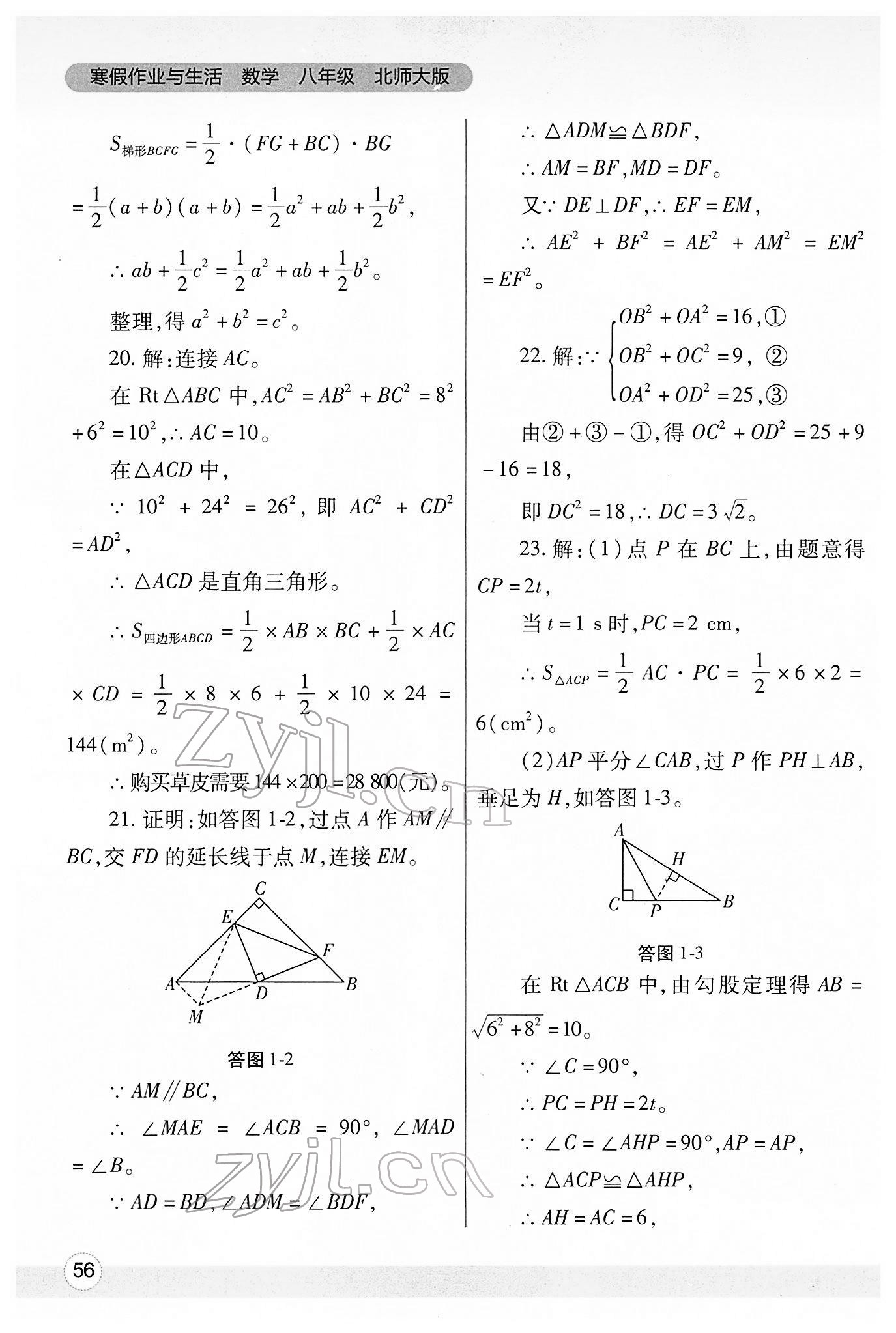 2022年寒假作业与生活陕西师范大学出版总社八年级数学北师大版 第2页