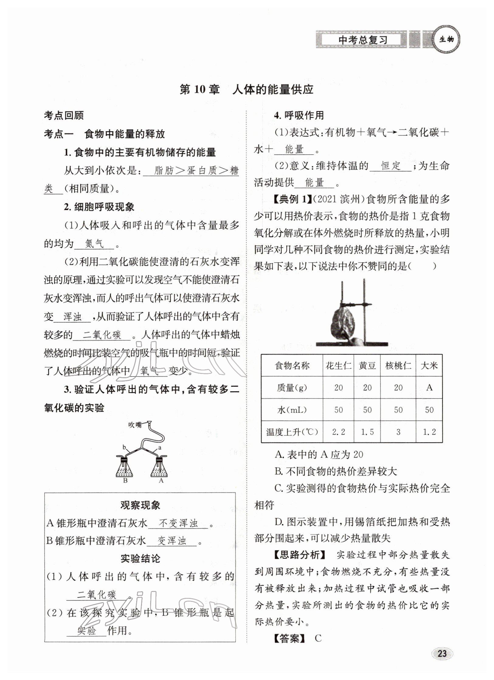 2022年中考總復(fù)習(xí)長江出版社生物 參考答案第23頁