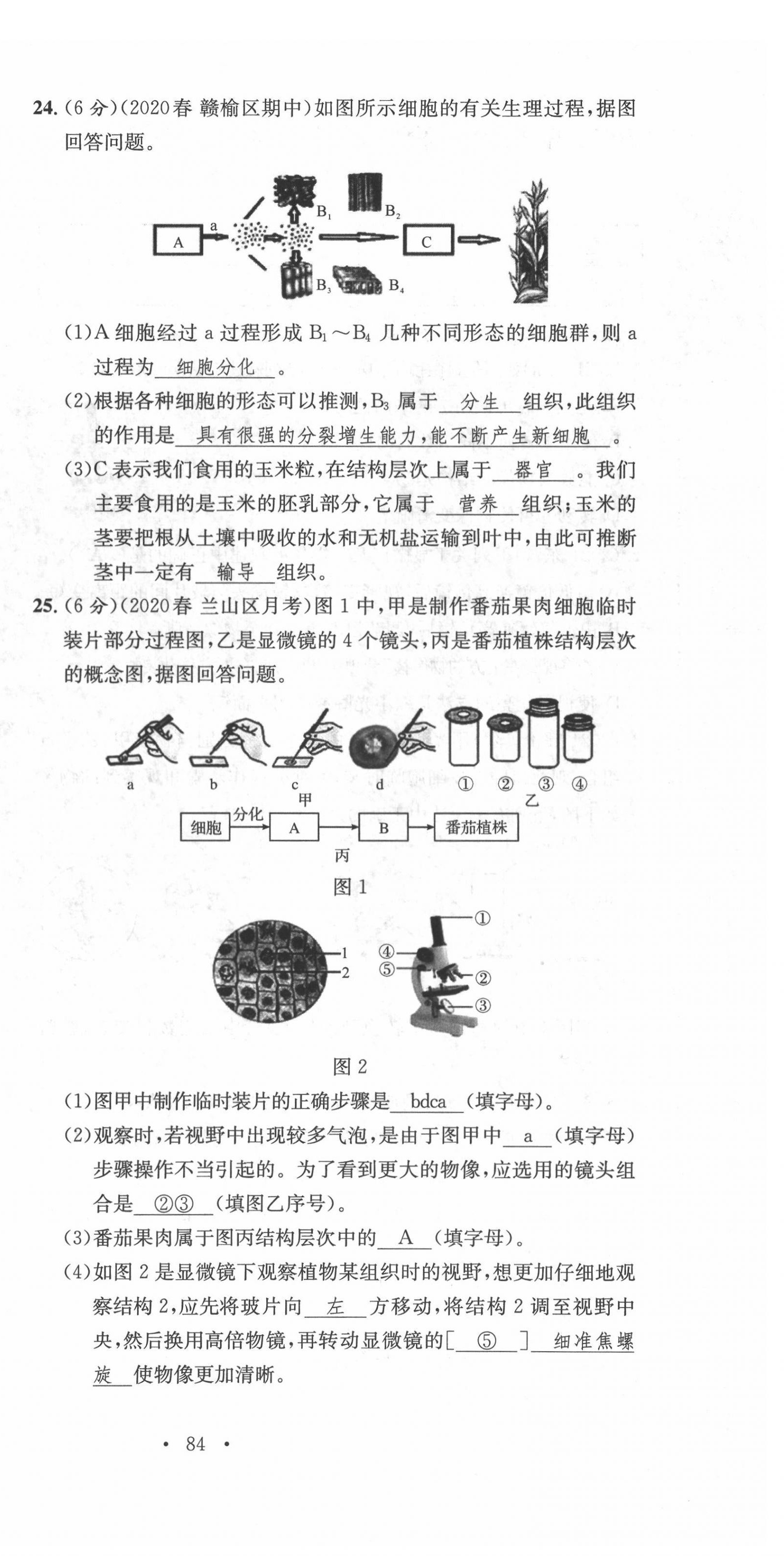 2022年中考總復(fù)習(xí)長江出版社生物 第12頁