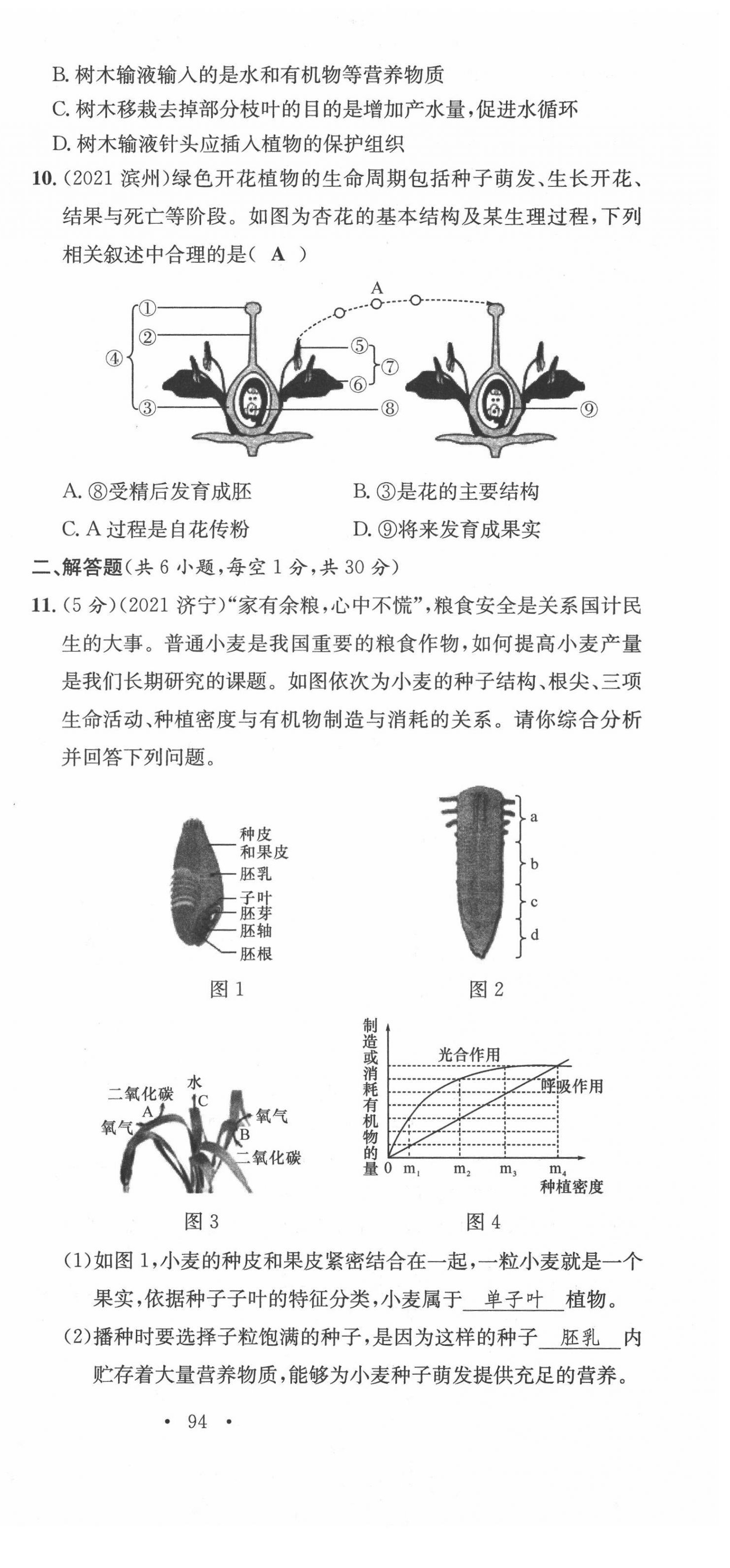 2022年中考總復(fù)習(xí)長(zhǎng)江出版社生物 第27頁(yè)