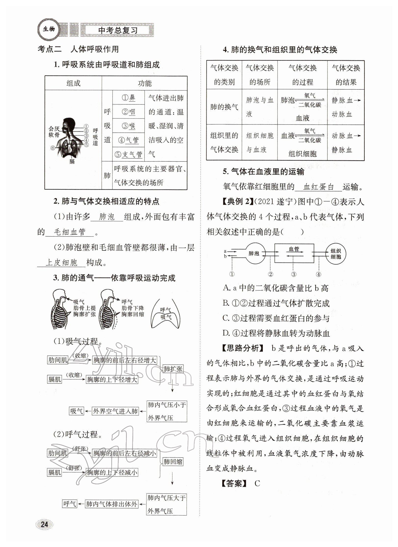 2022年中考總復(fù)習(xí)長江出版社生物 參考答案第24頁