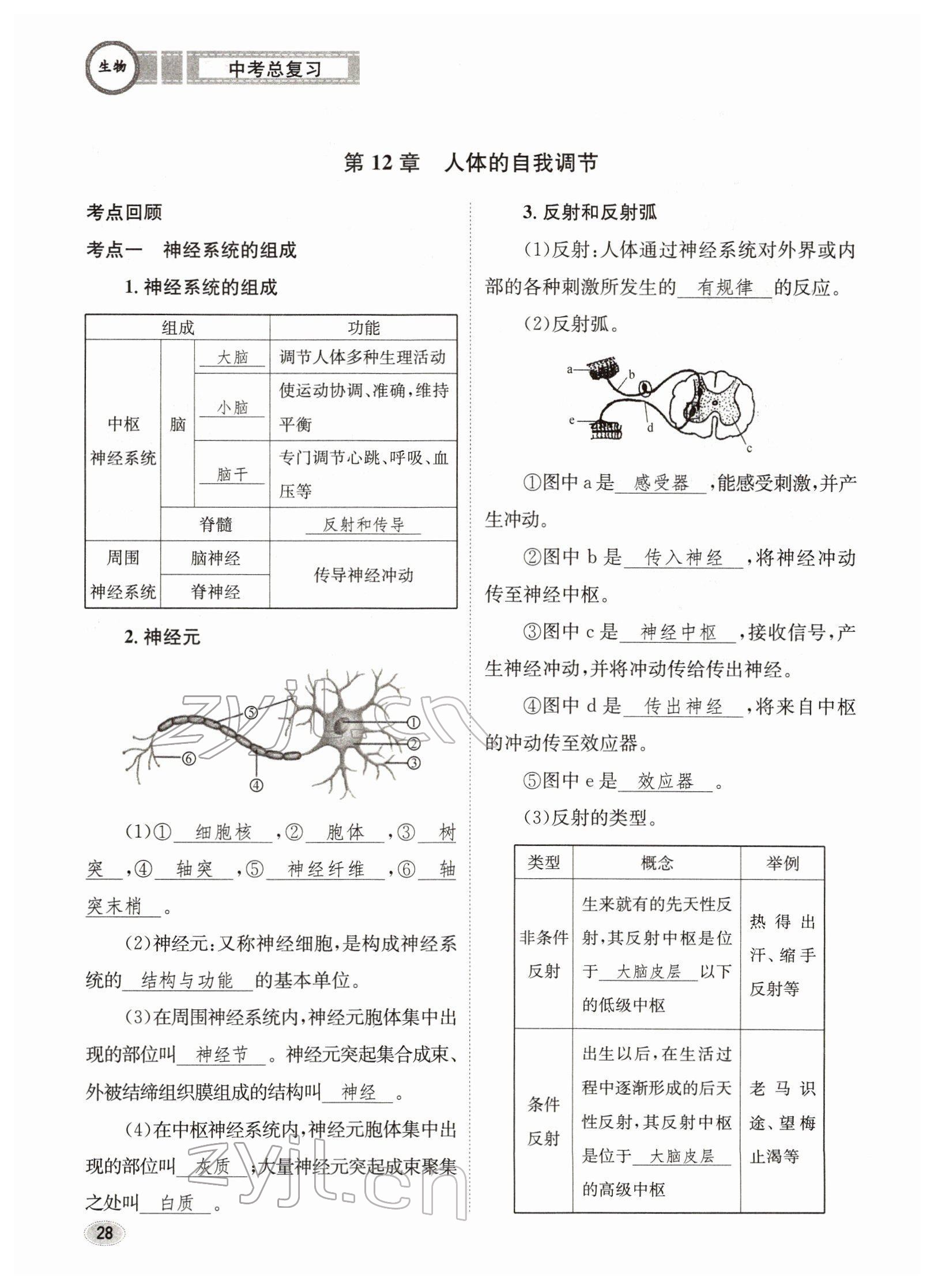 2022年中考總復(fù)習(xí)長江出版社生物 參考答案第28頁