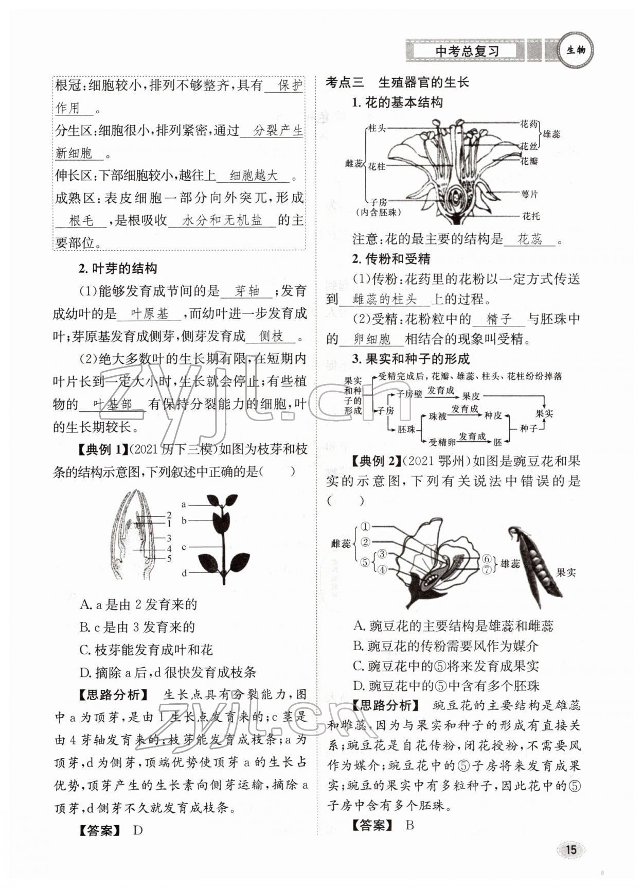 2022年中考總復(fù)習(xí)長江出版社生物 參考答案第15頁