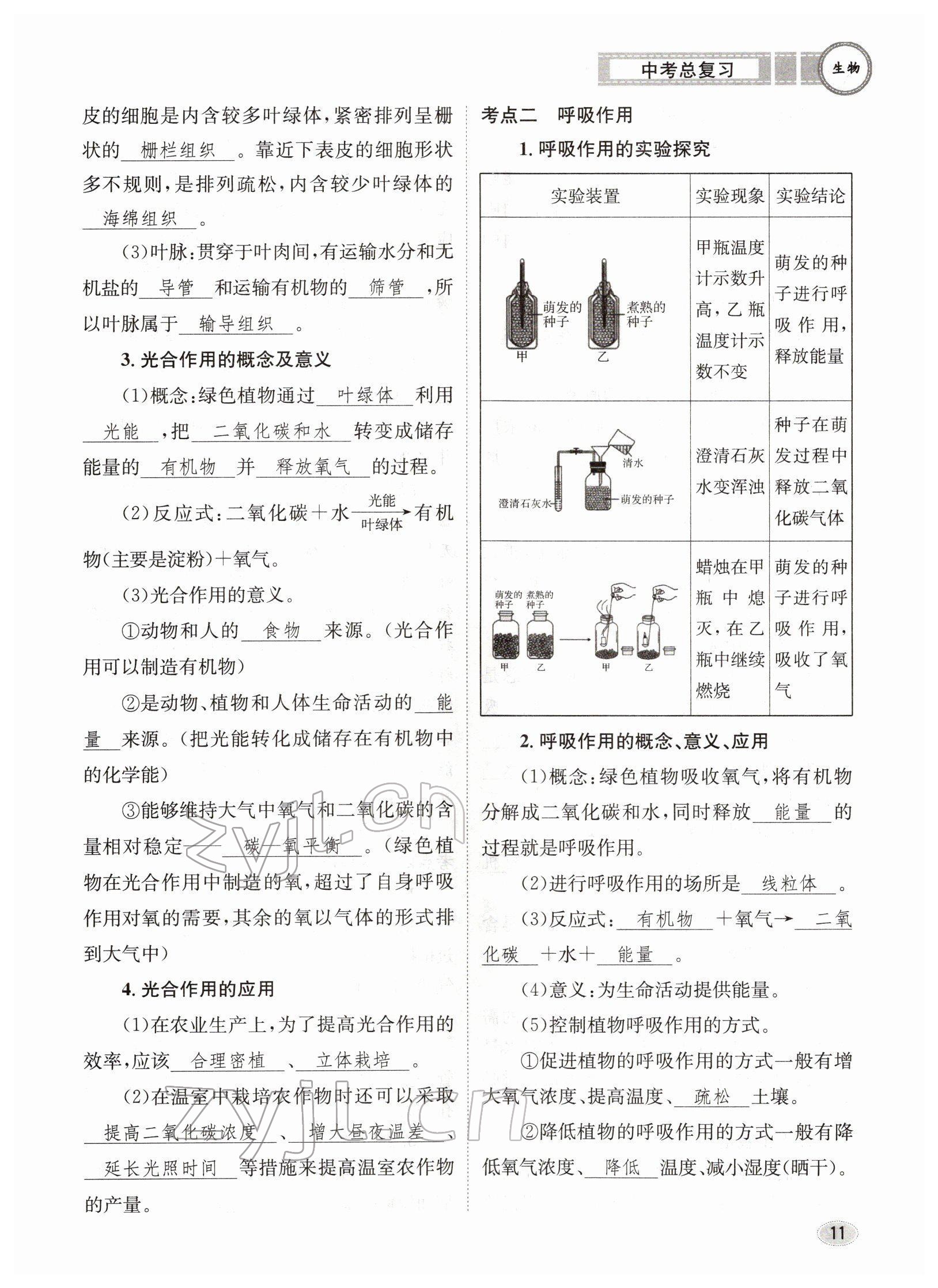 2022年中考總復(fù)習(xí)長江出版社生物 參考答案第11頁