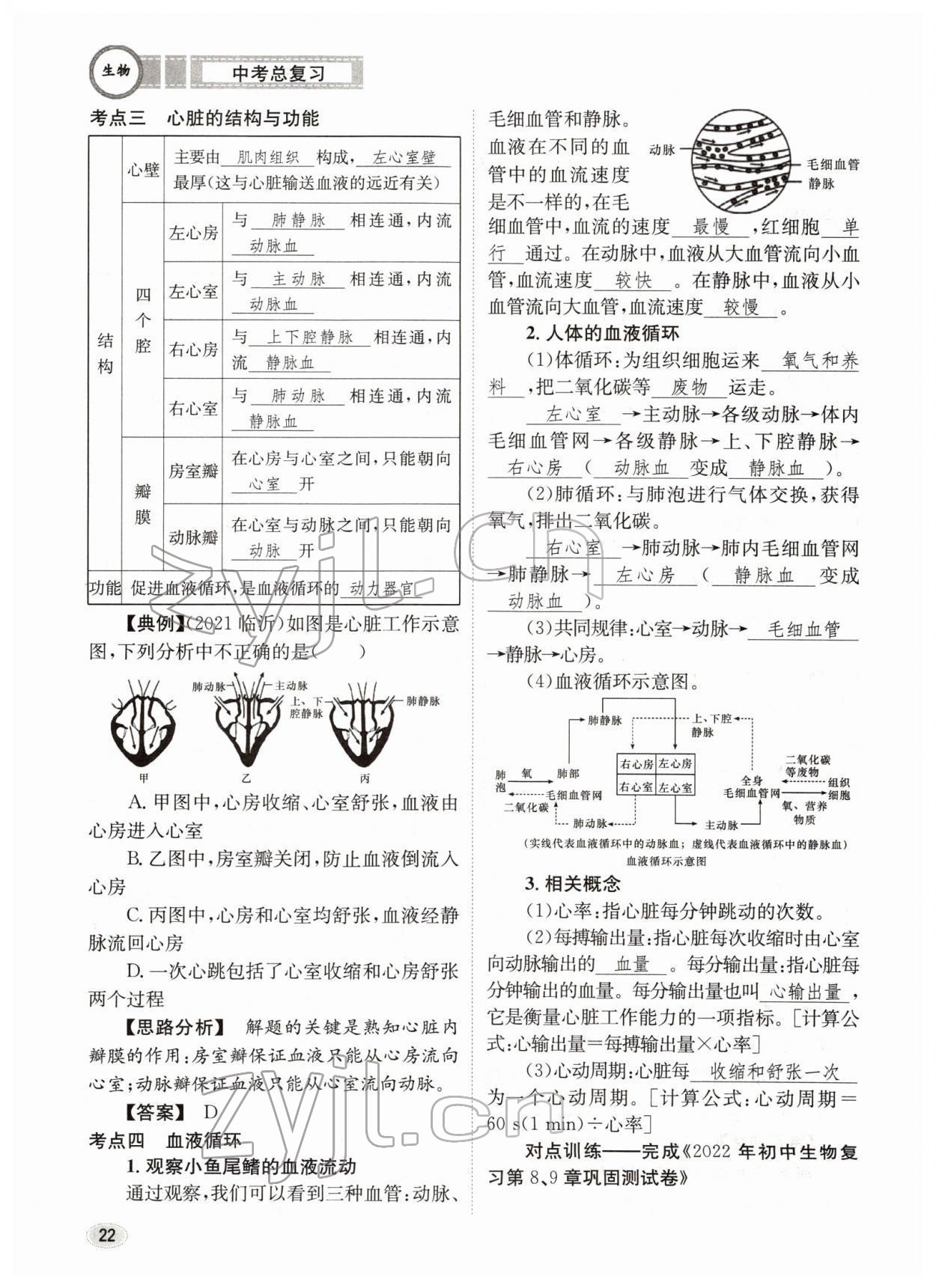 2022年中考總復(fù)習(xí)長江出版社生物 參考答案第22頁