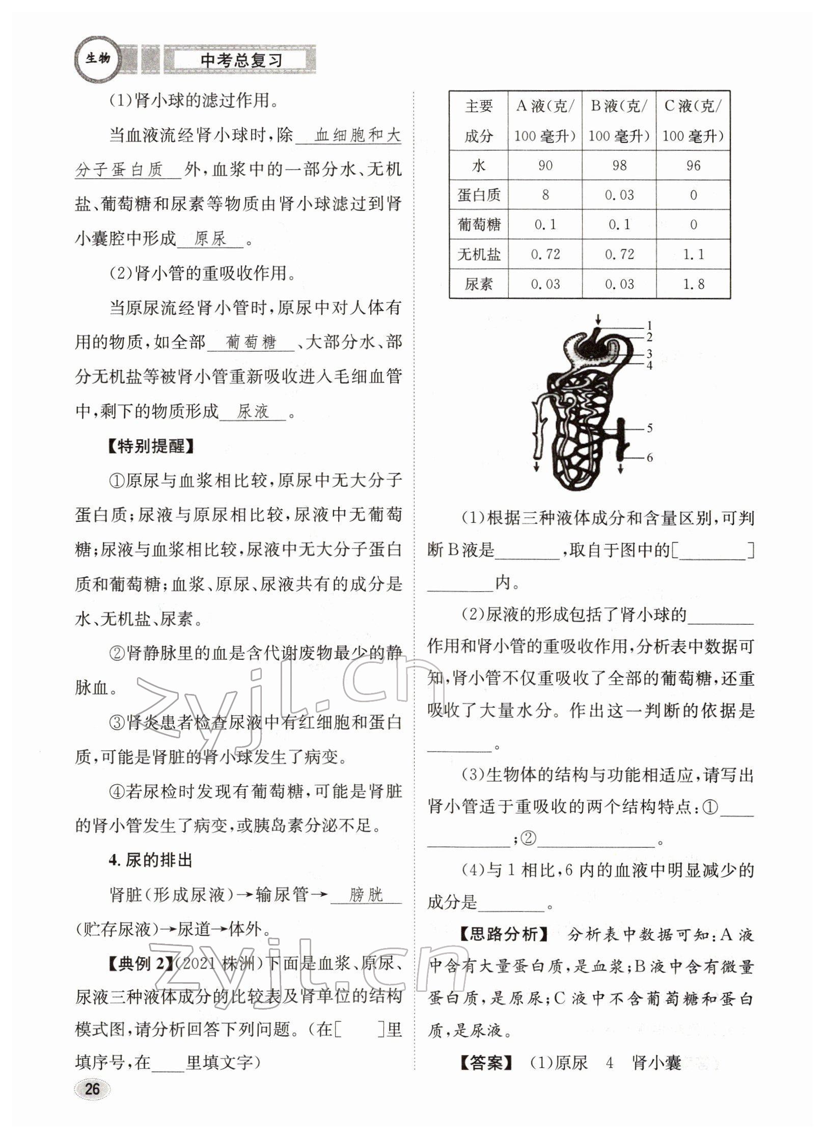 2022年中考總復(fù)習(xí)長(zhǎng)江出版社生物 參考答案第26頁(yè)