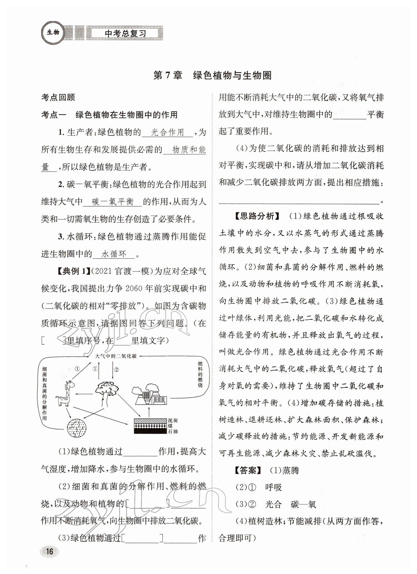 2022年中考總復(fù)習(xí)長江出版社生物 參考答案第16頁