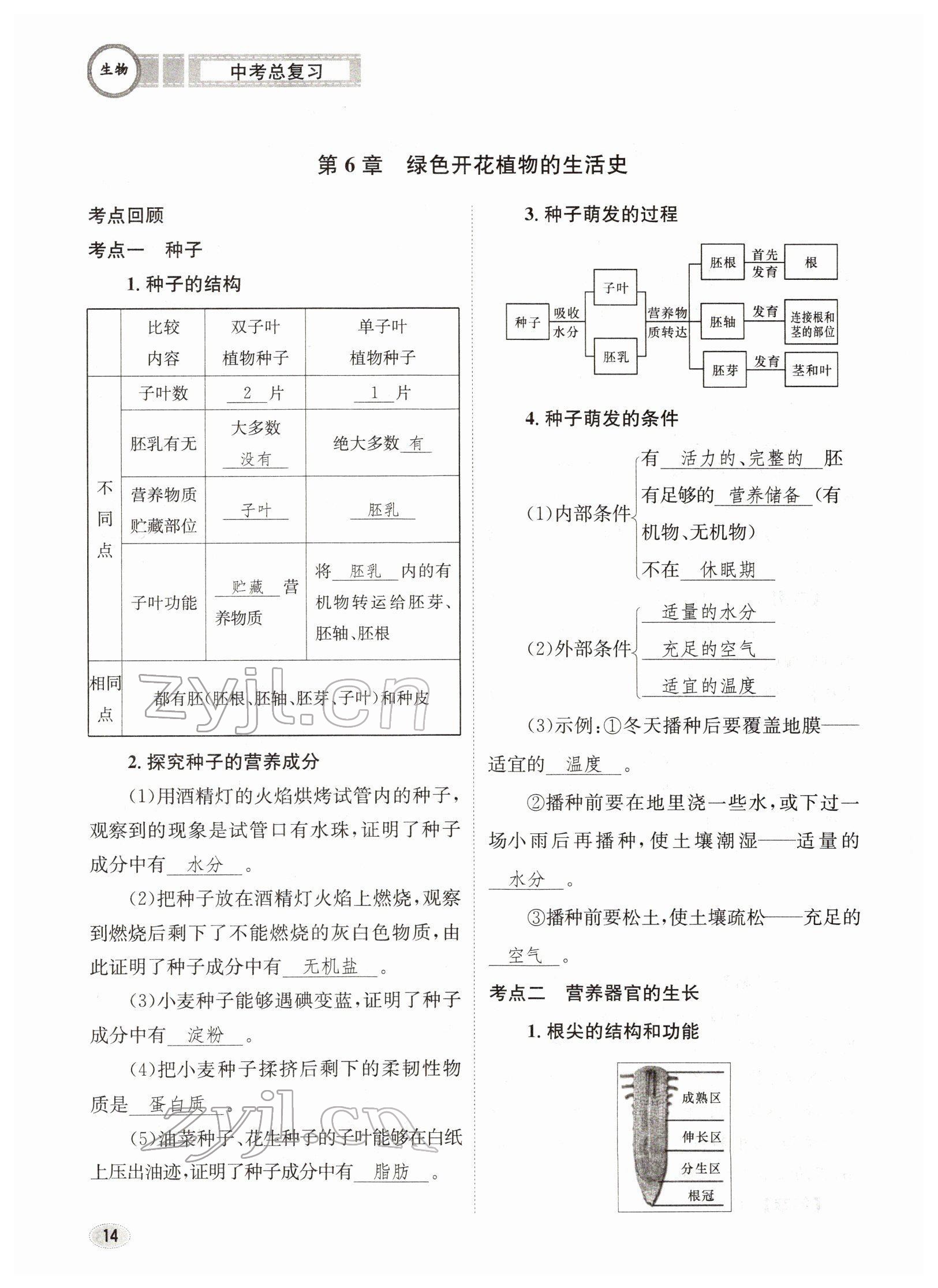 2022年中考總復(fù)習(xí)長江出版社生物 參考答案第14頁