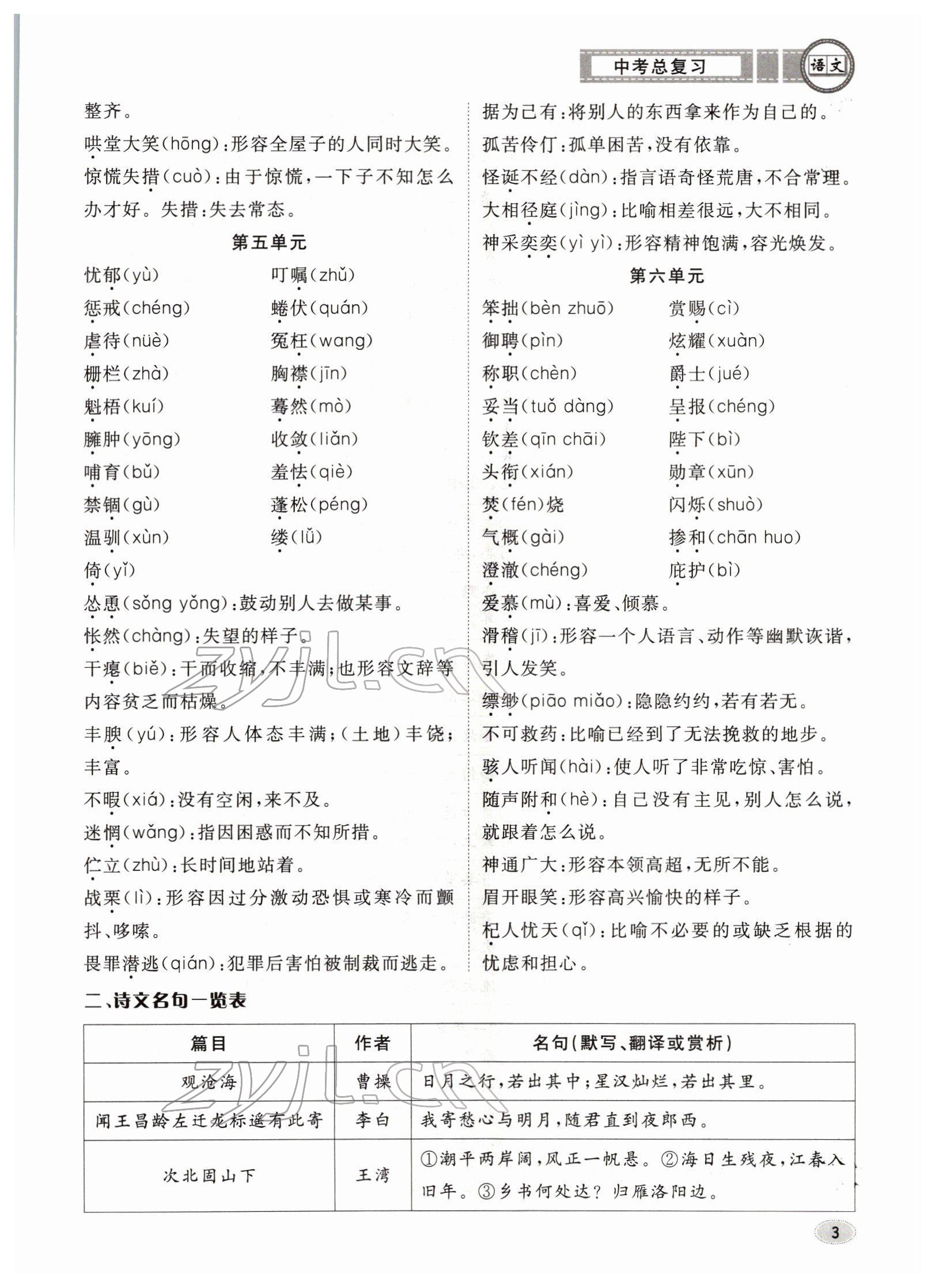 2022年中考總復(fù)習(xí)長(zhǎng)江出版社語(yǔ)文 參考答案第3頁(yè)