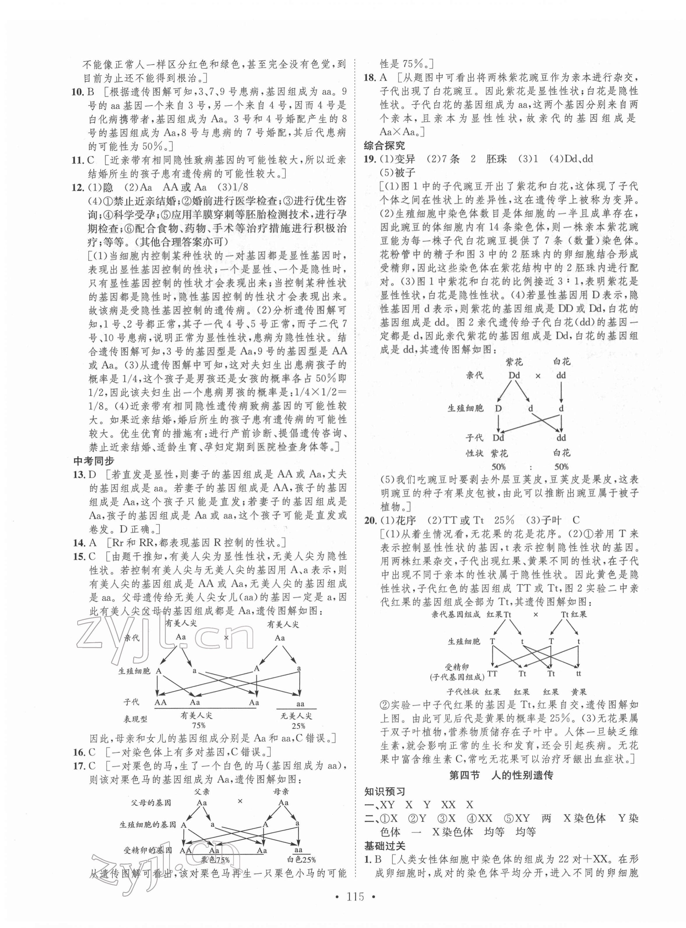 2022年思路教练同步课时作业八年级生物下册人教版 第7页