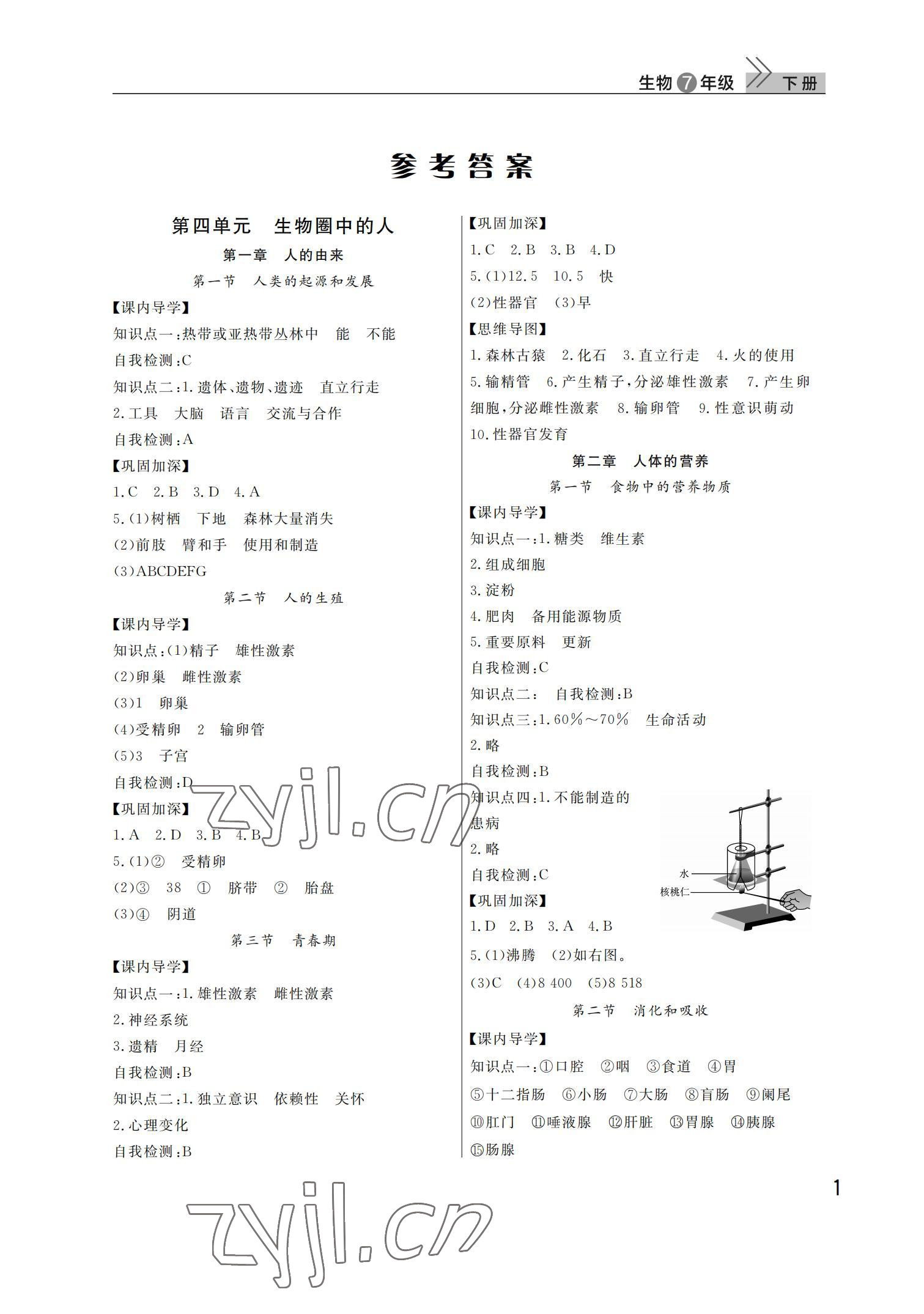 2022年課堂作業(yè)武漢出版社七年級生物下冊人教版 第1頁