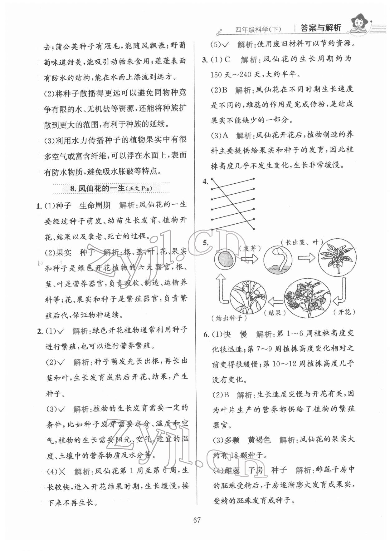 2022年教材全练四年级科学下册教科版 第7页