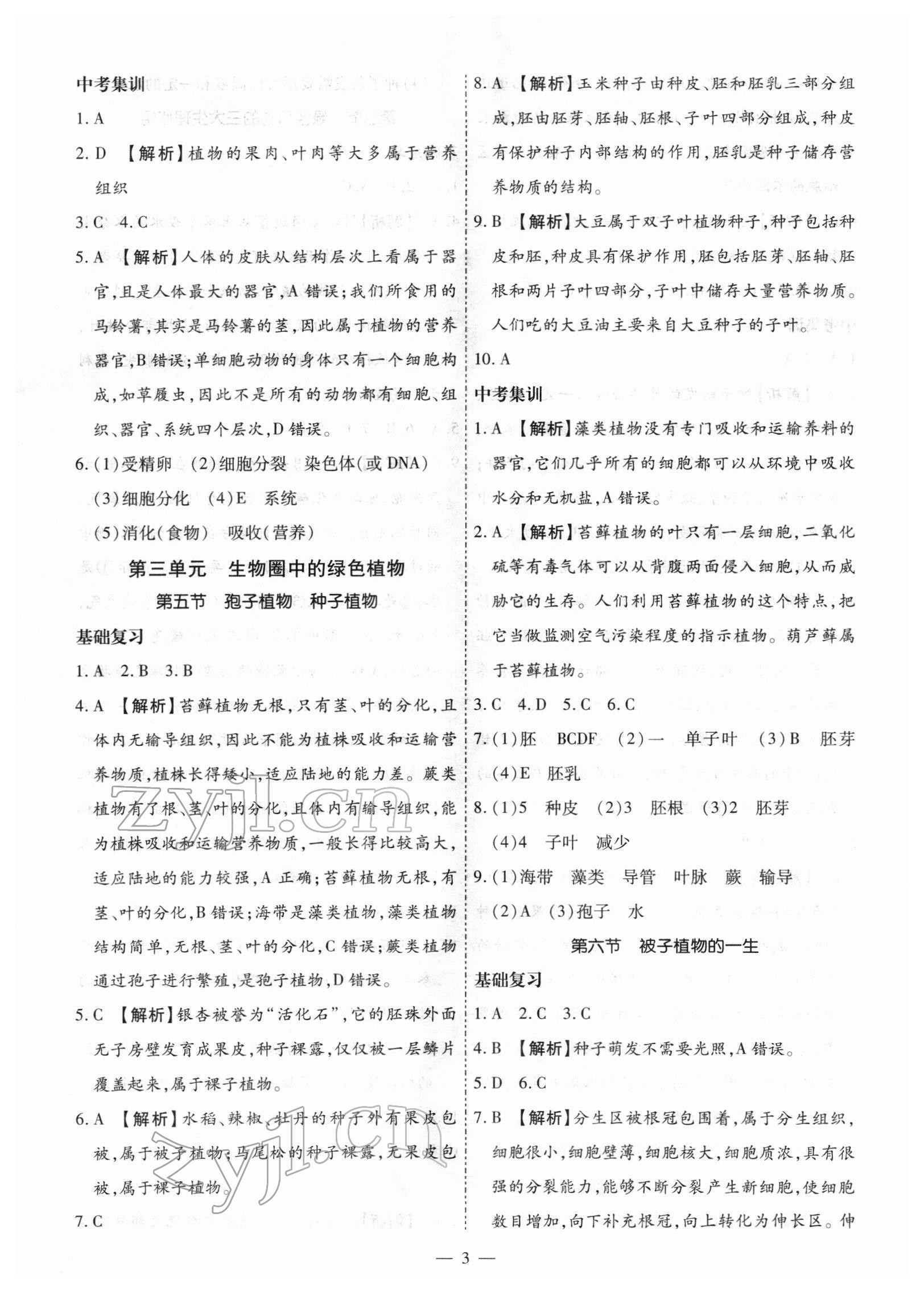 2022年中考123基础章节总复习测试卷生物牡丹江专版 第3页