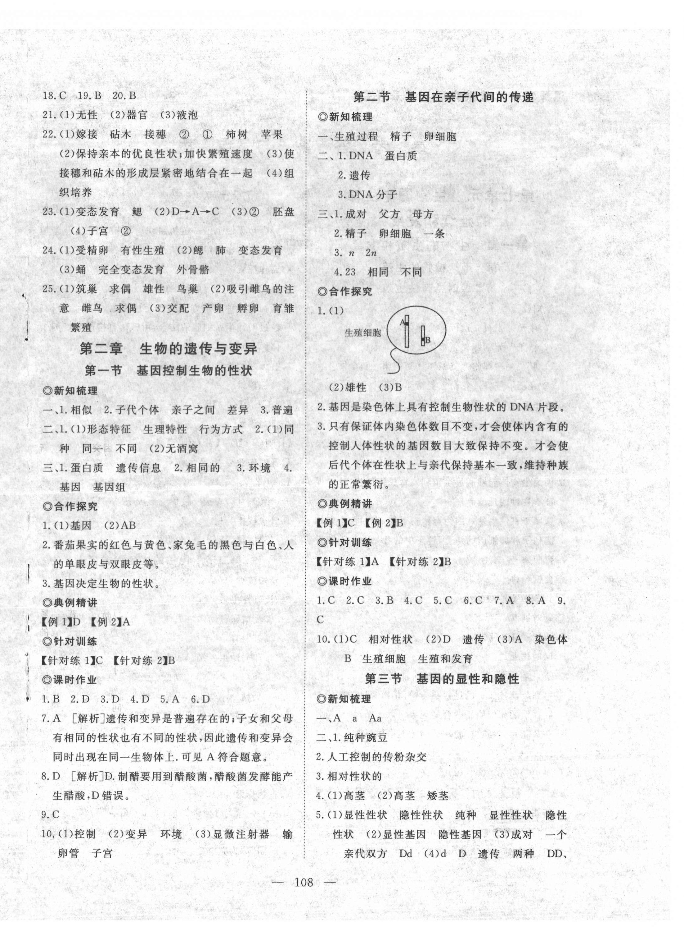 2022年351高效課堂導學案八年級生物下冊 第4頁