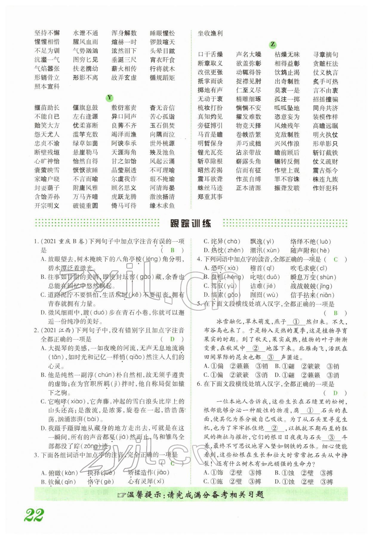 2022年藍(lán)卡中考試題解讀語(yǔ)文河南專(zhuān)版 參考答案第46頁(yè)