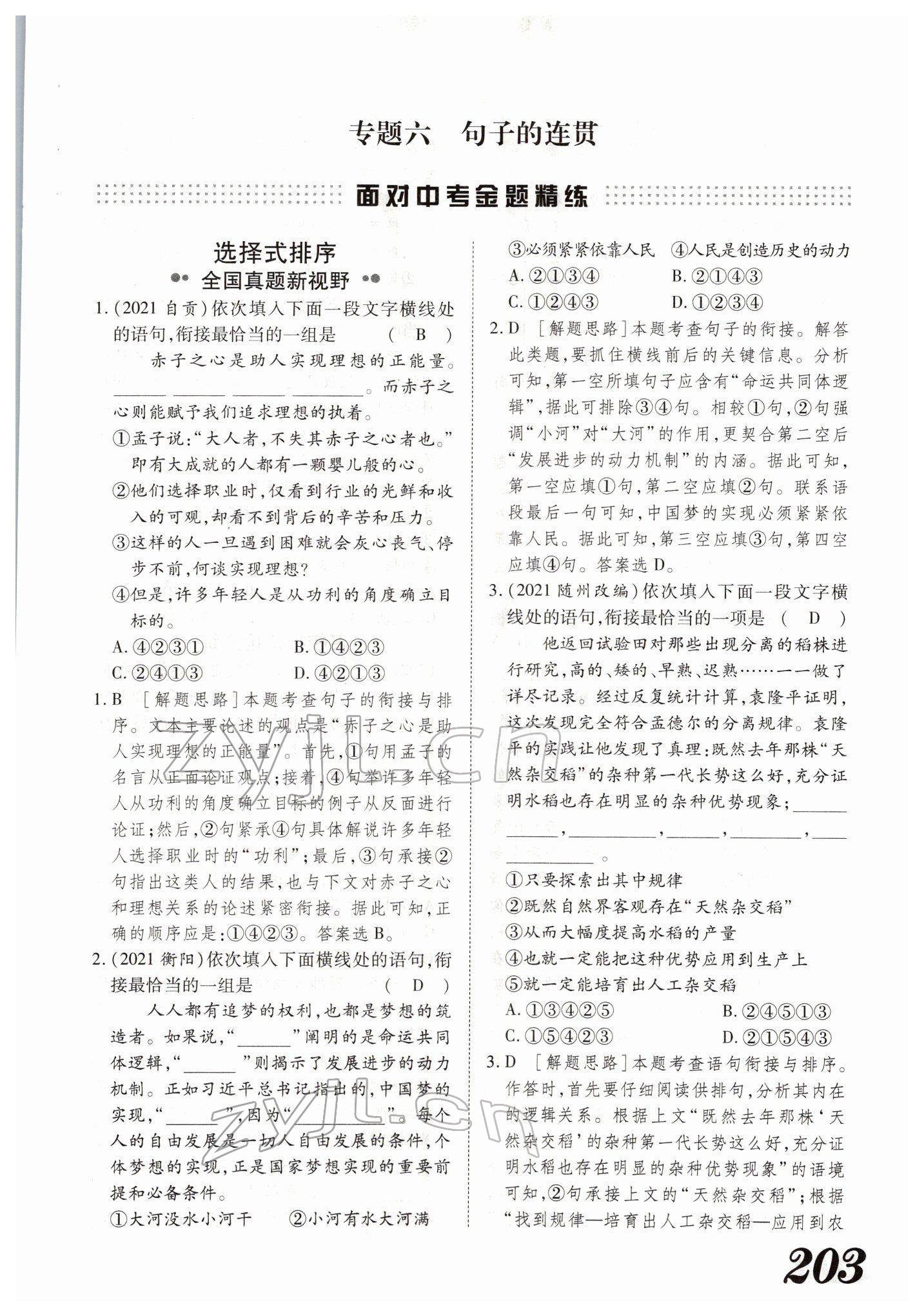 2022年藍(lán)卡中考試題解讀語文河南專版 參考答案第37頁