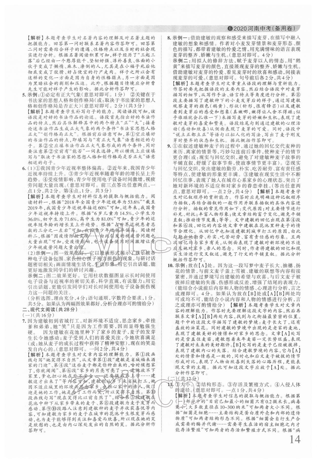 2022年王朝霞中考真题精编语文河南中考 第14页