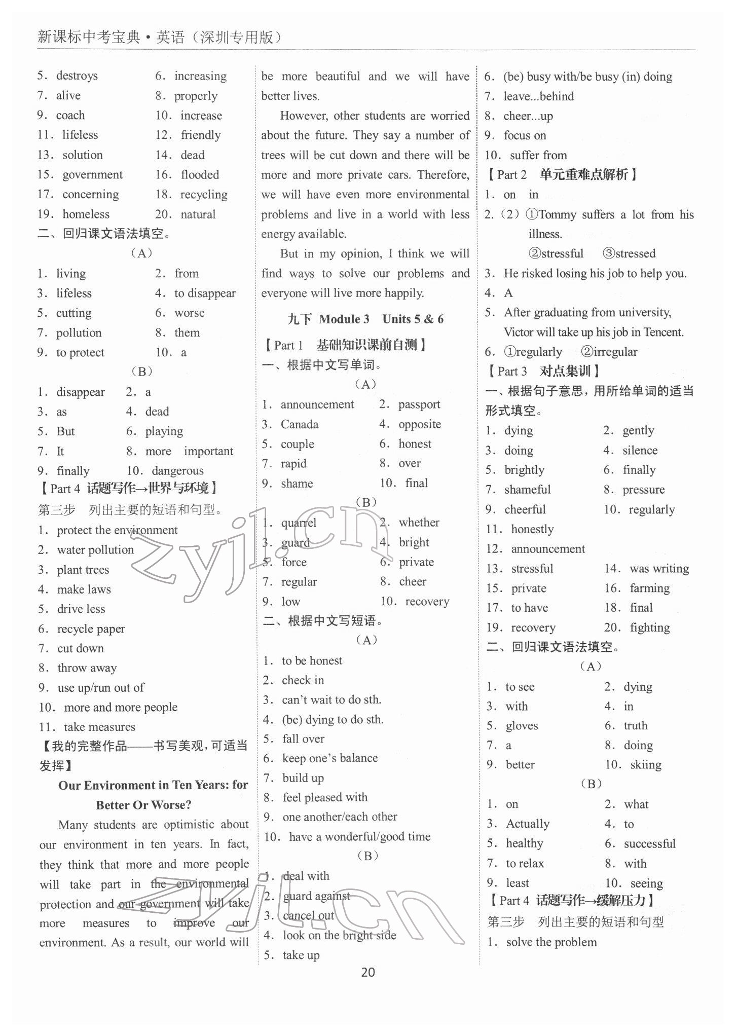 2022年新课标中考宝典英语深圳专版 第20页