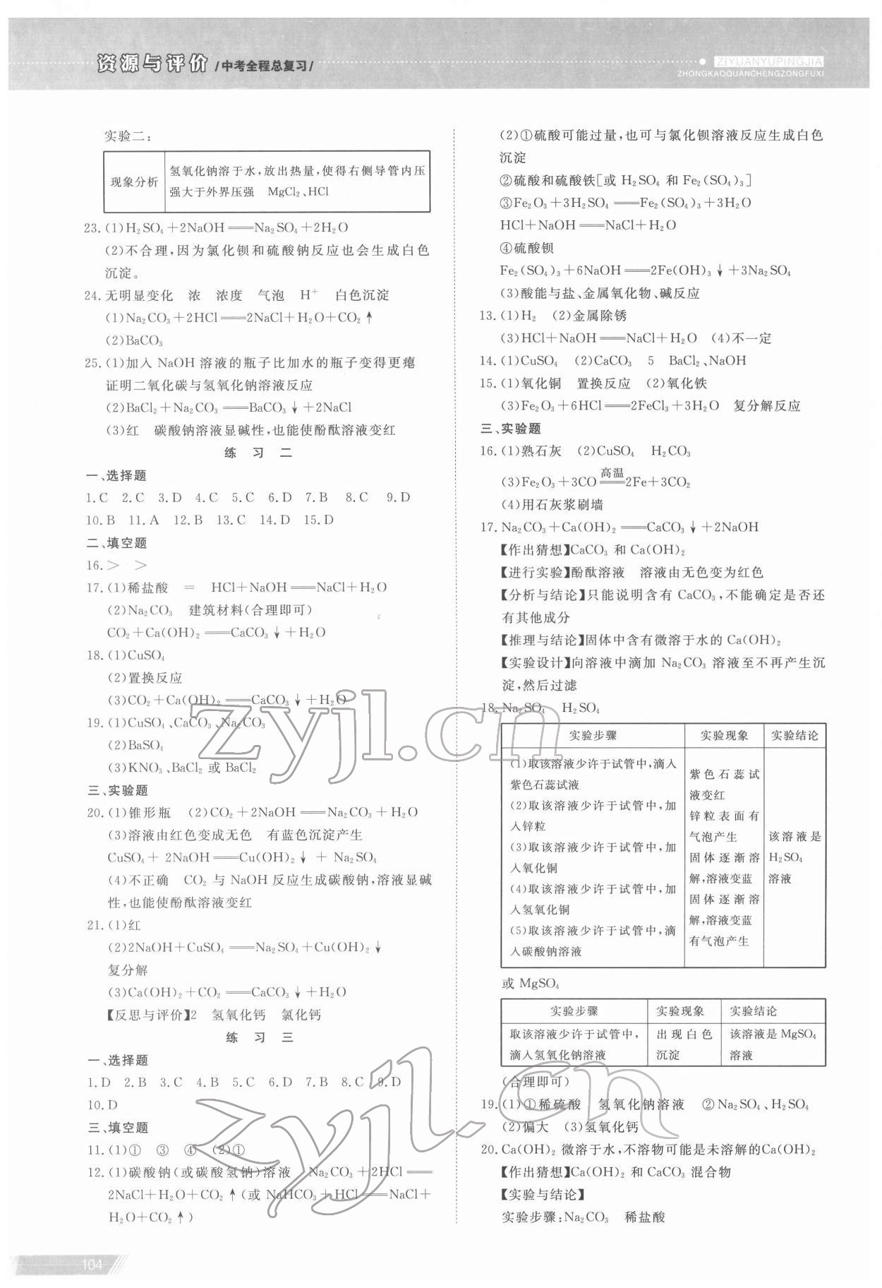 2022年資源與評價中考全程總復習化學B版 參考答案第9頁