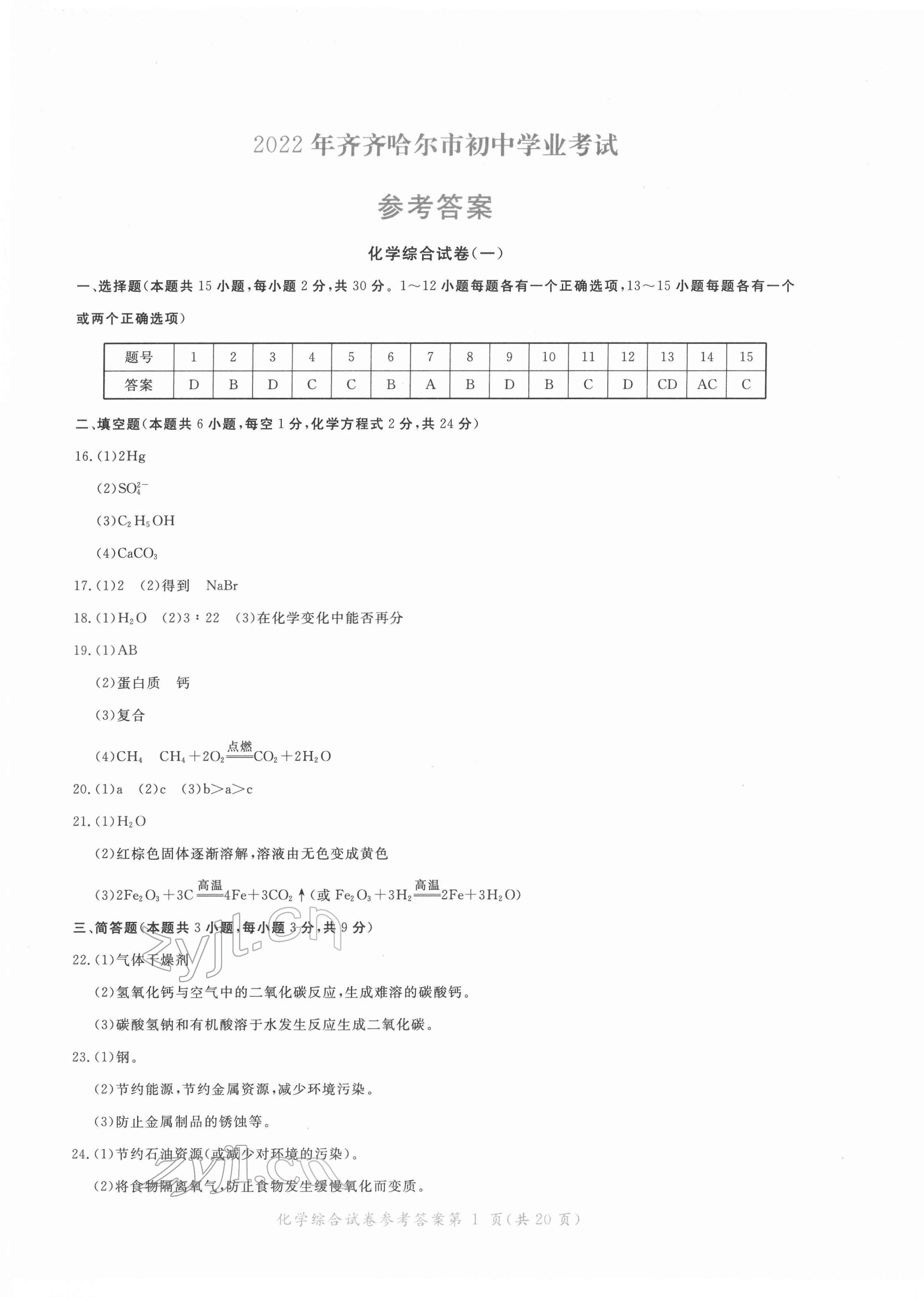 2022年資源與評價(jià)中考全程總復(fù)習(xí)化學(xué)B版 第12頁