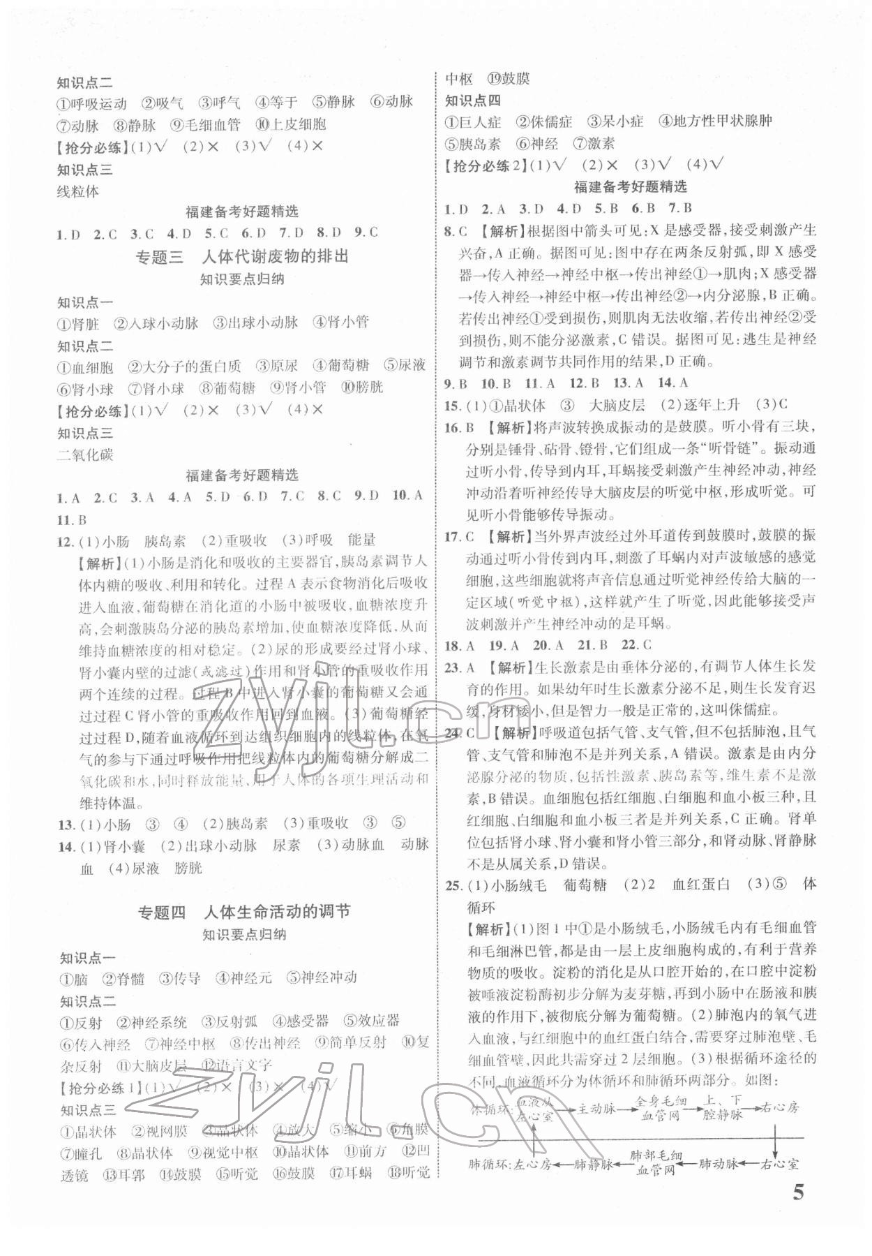2022年中考新突破生物福建专版&nbsp;参考答案第5页