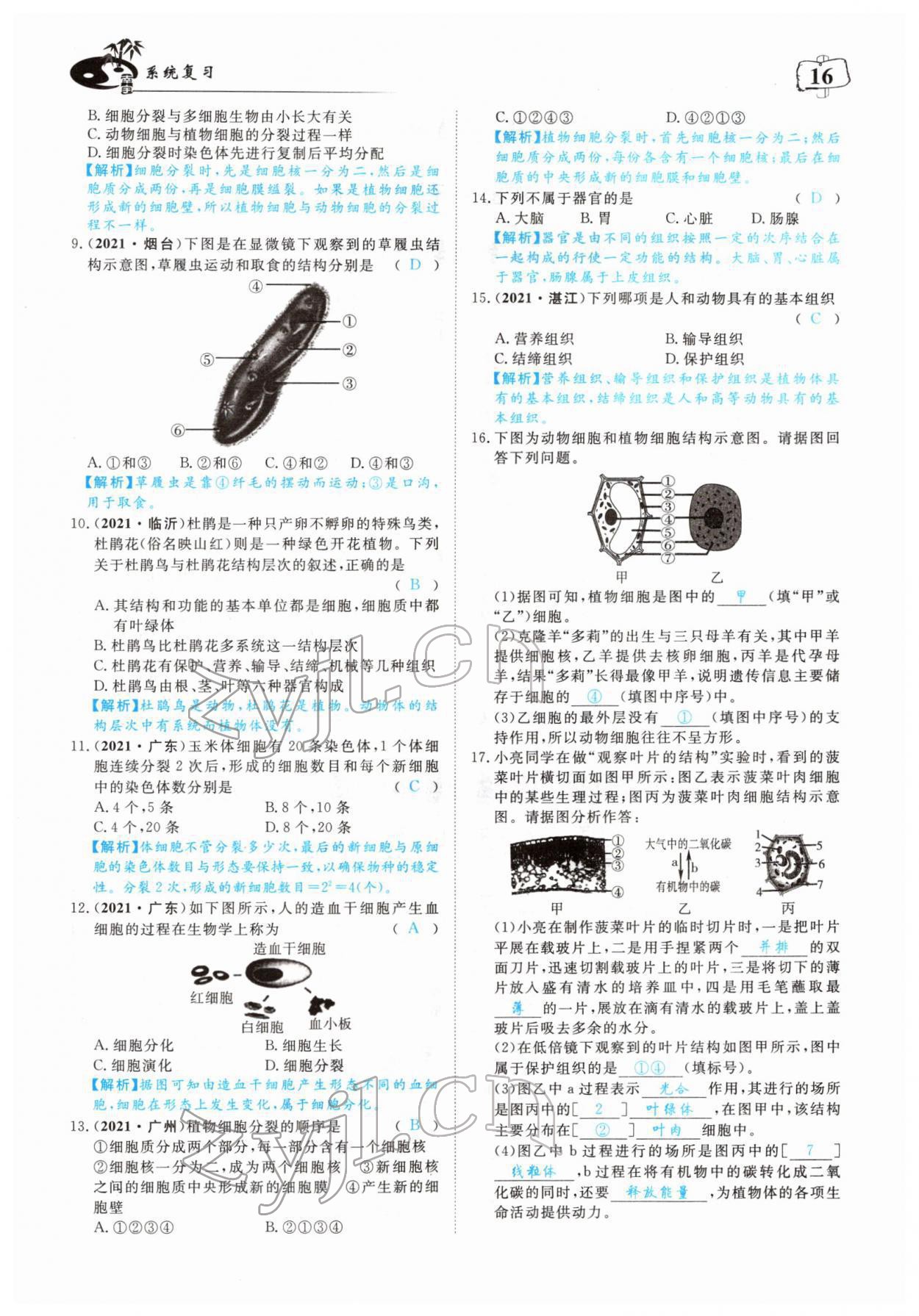 2022年351高效課堂導(dǎo)學(xué)案中考生物人教版 參考答案第16頁