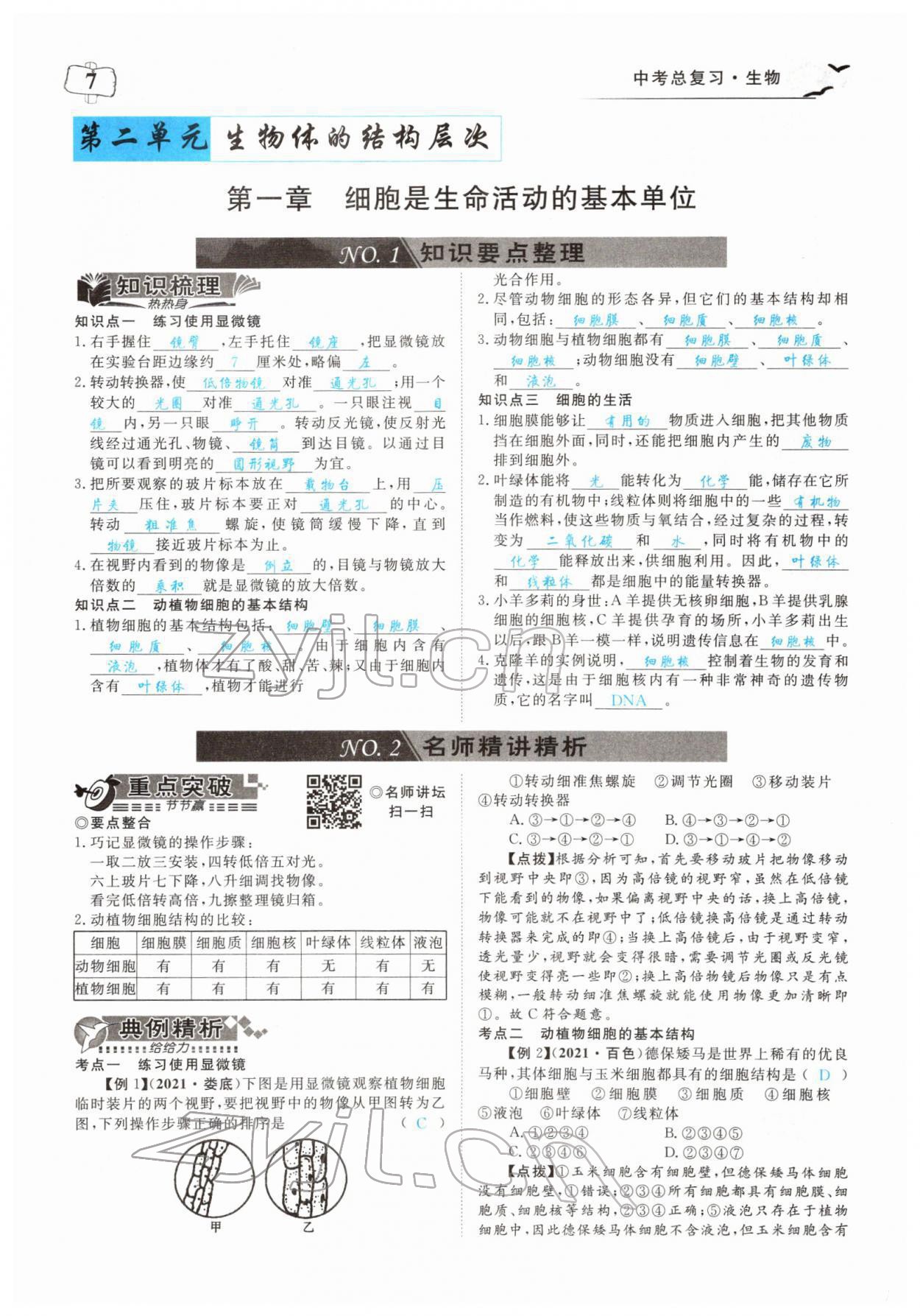 2022年351高效課堂導(dǎo)學(xué)案中考生物人教版 參考答案第7頁