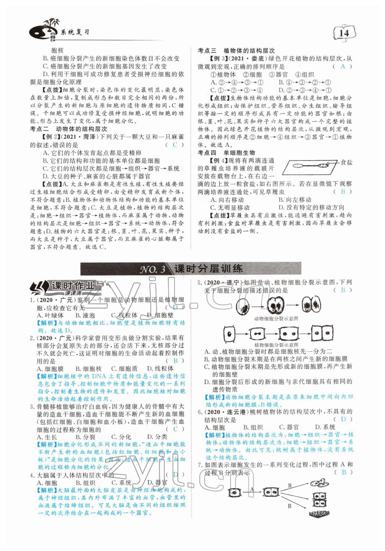 2022年351高效課堂導(dǎo)學(xué)案中考生物人教版 參考答案第14頁