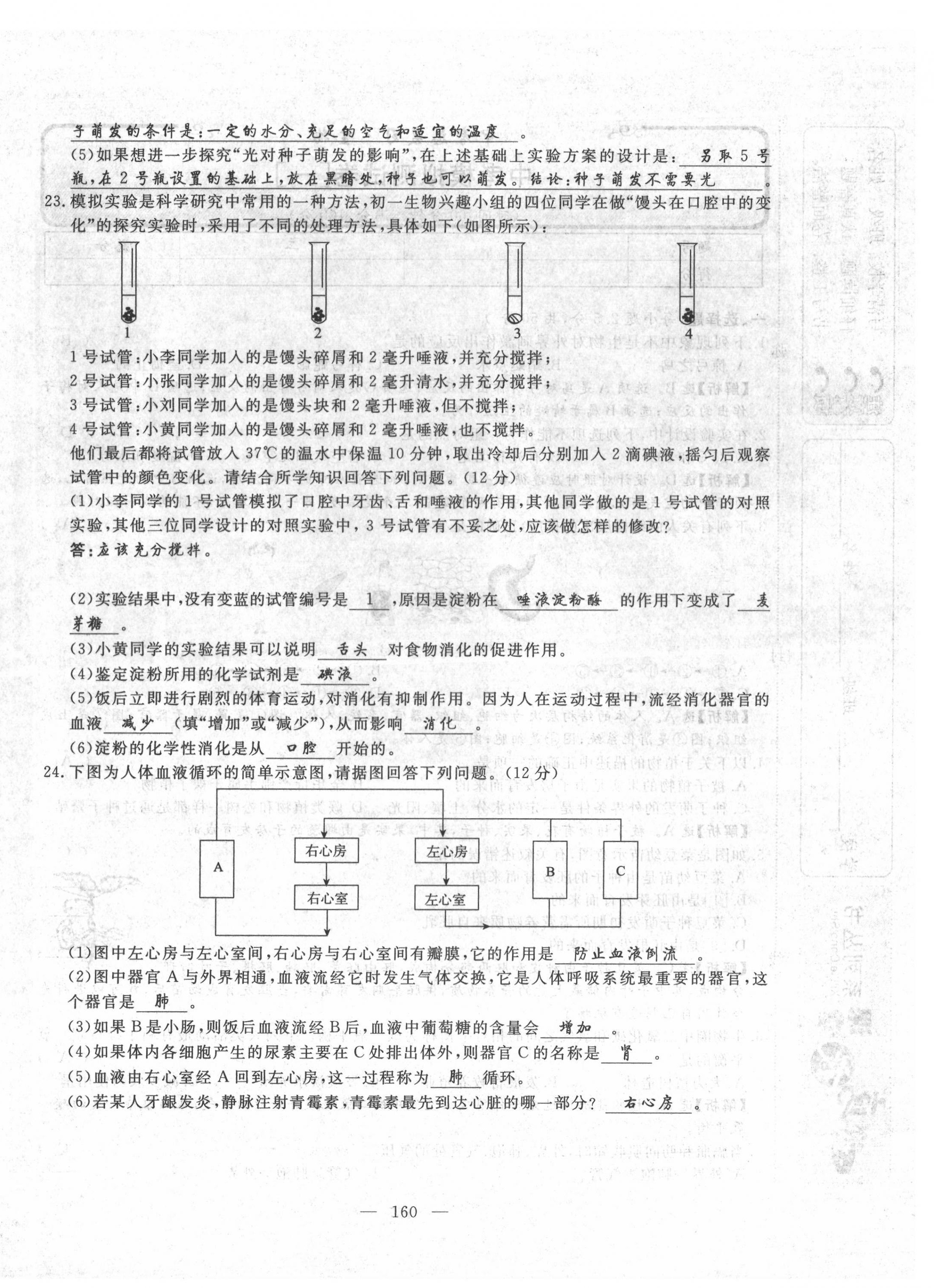 2022年351高效課堂導(dǎo)學(xué)案中考生物人教版 第20頁(yè)