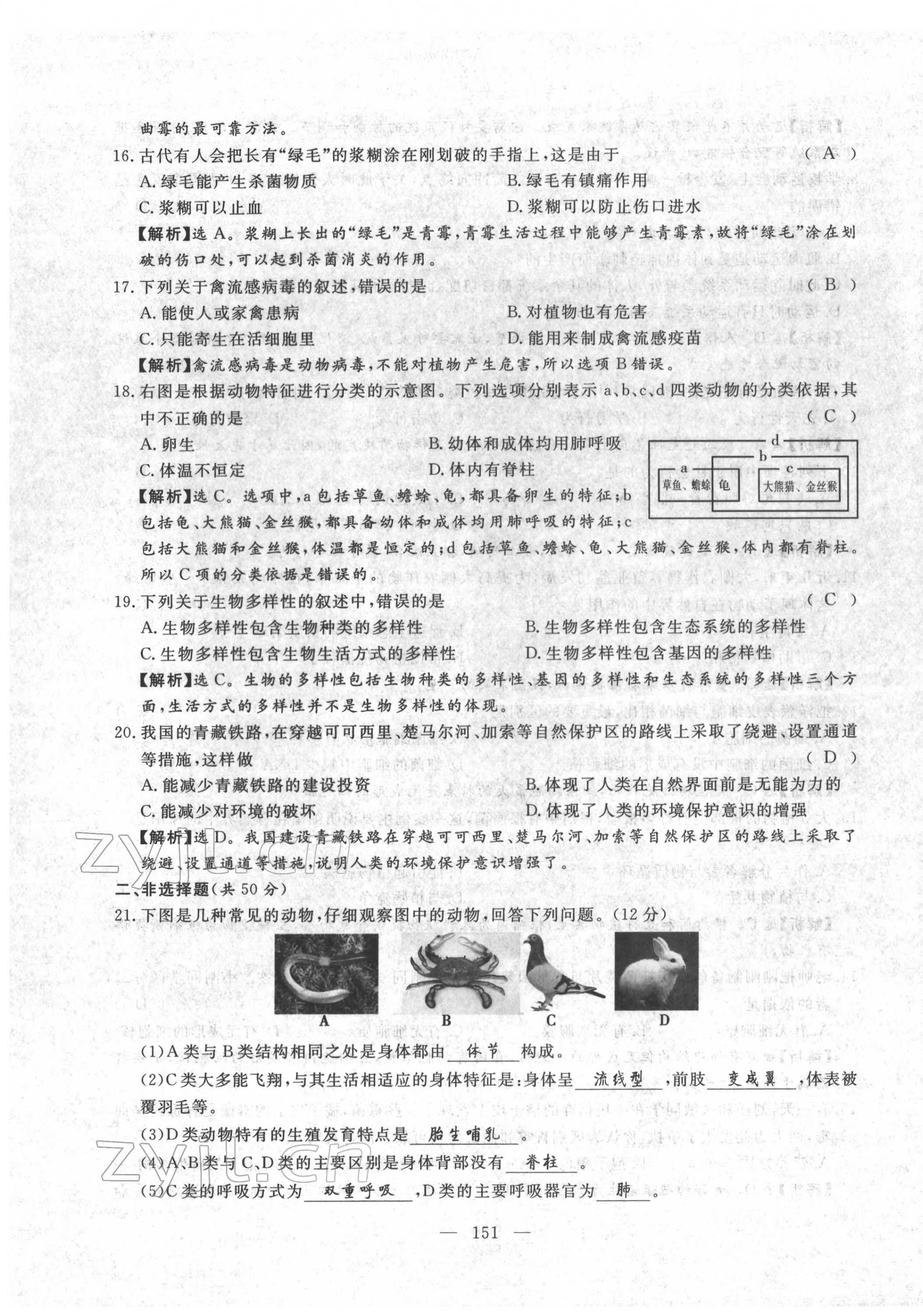 2022年351高效課堂導(dǎo)學(xué)案中考生物人教版 第11頁