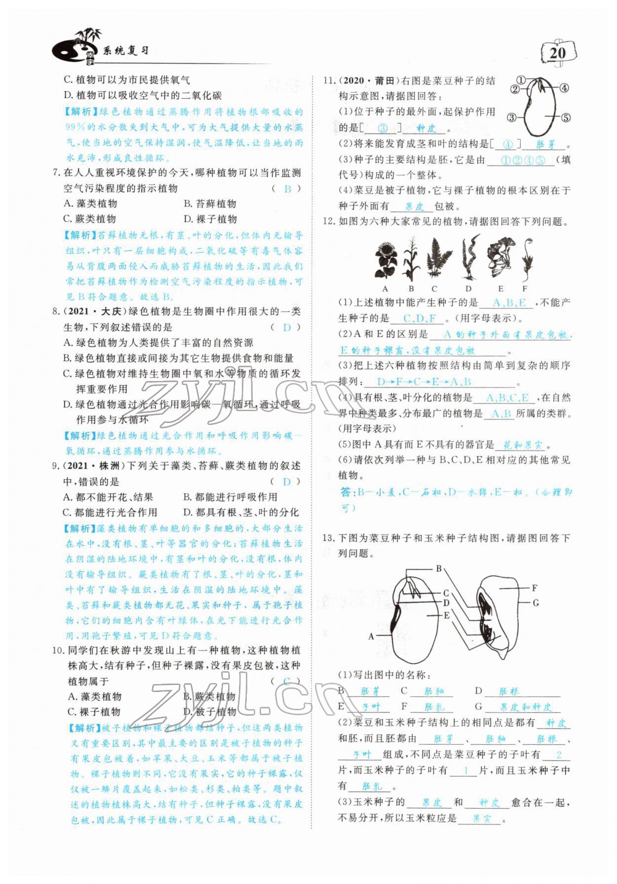 2022年351高效課堂導(dǎo)學(xué)案中考生物人教版 參考答案第20頁