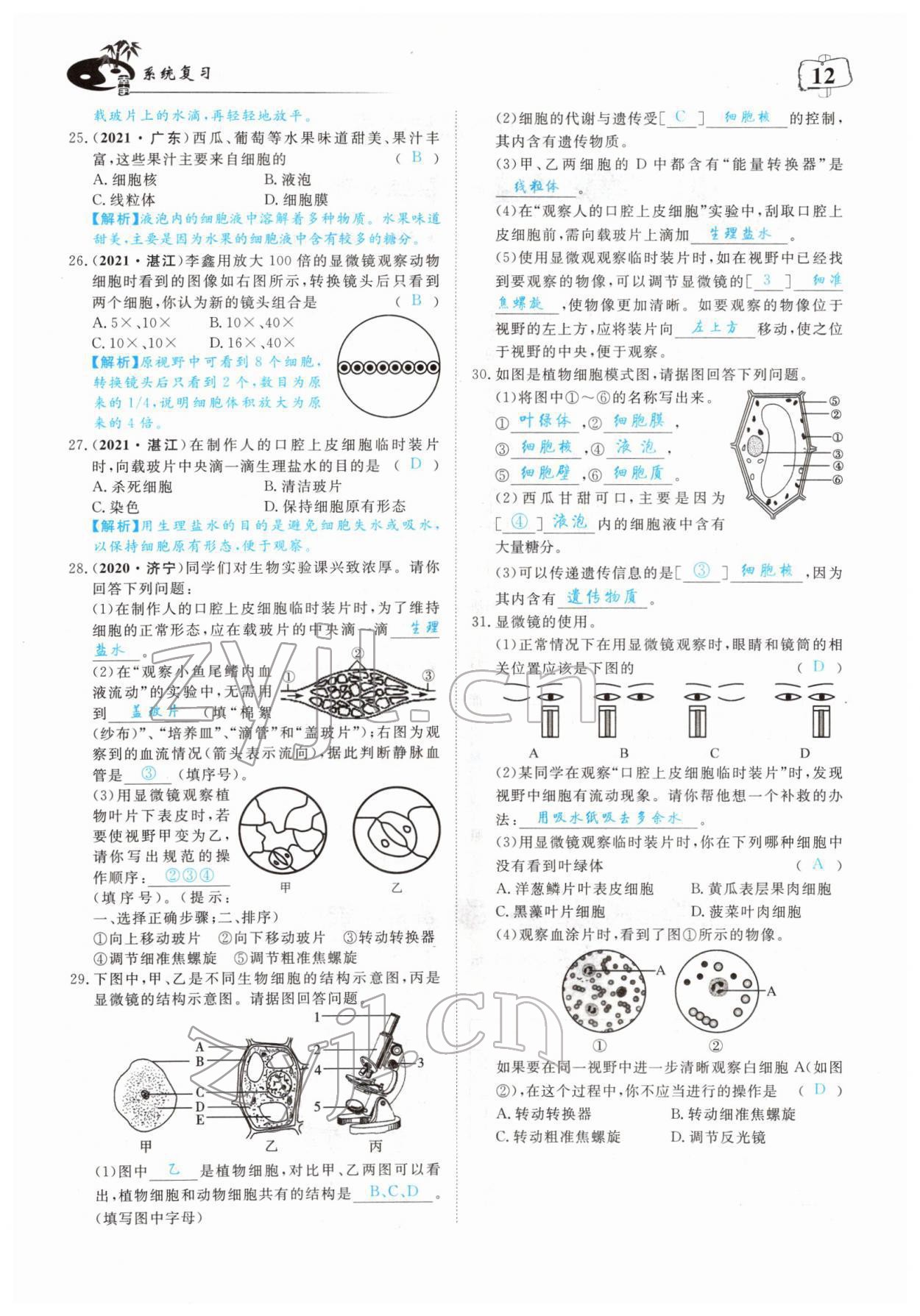 2022年351高效課堂導(dǎo)學(xué)案中考生物人教版 參考答案第12頁