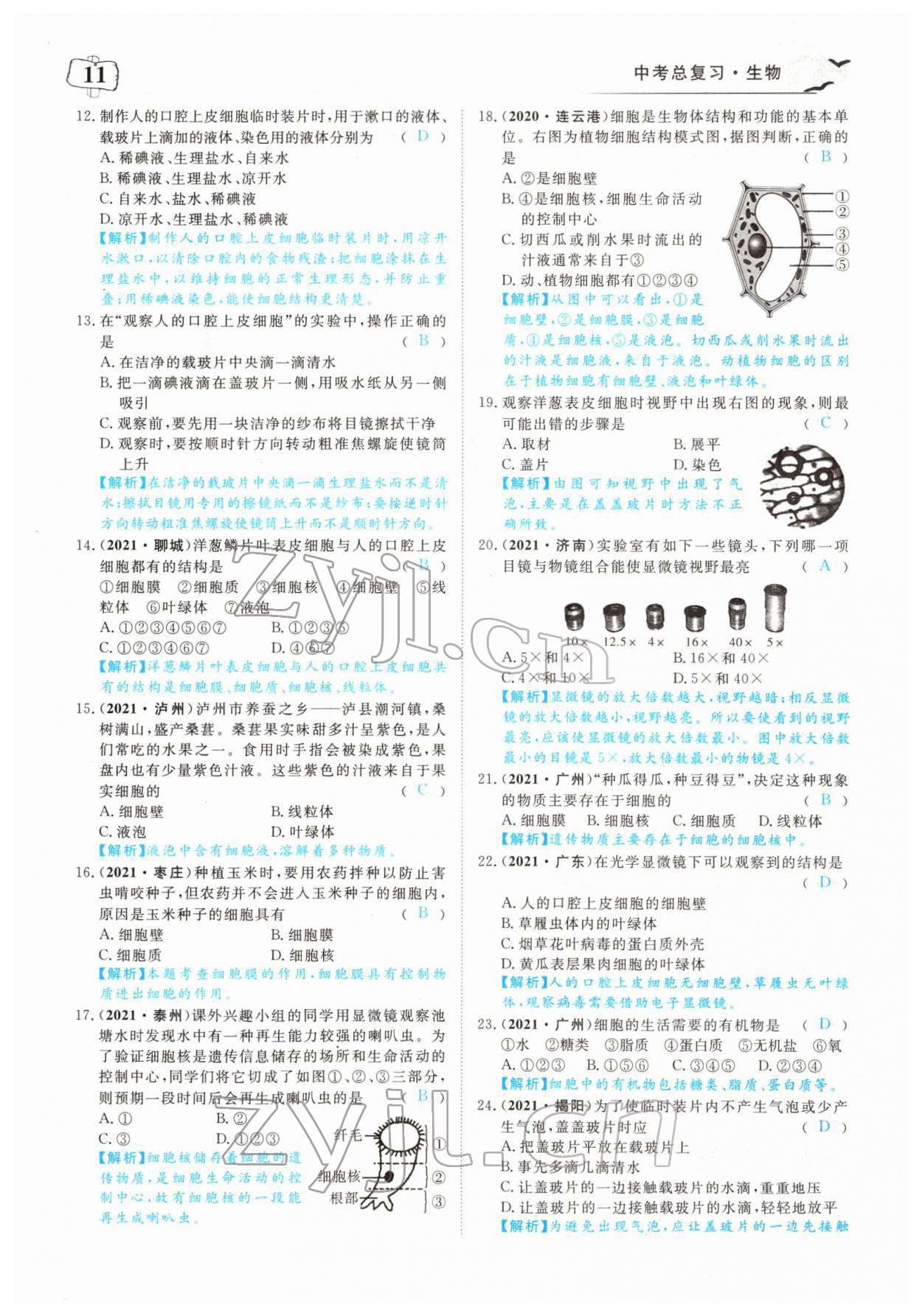 2022年351高效課堂導(dǎo)學(xué)案中考生物人教版 參考答案第11頁