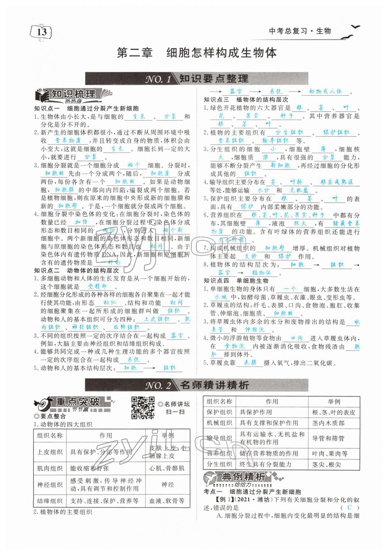 2022年351高效課堂導(dǎo)學(xué)案中考生物人教版 參考答案第13頁