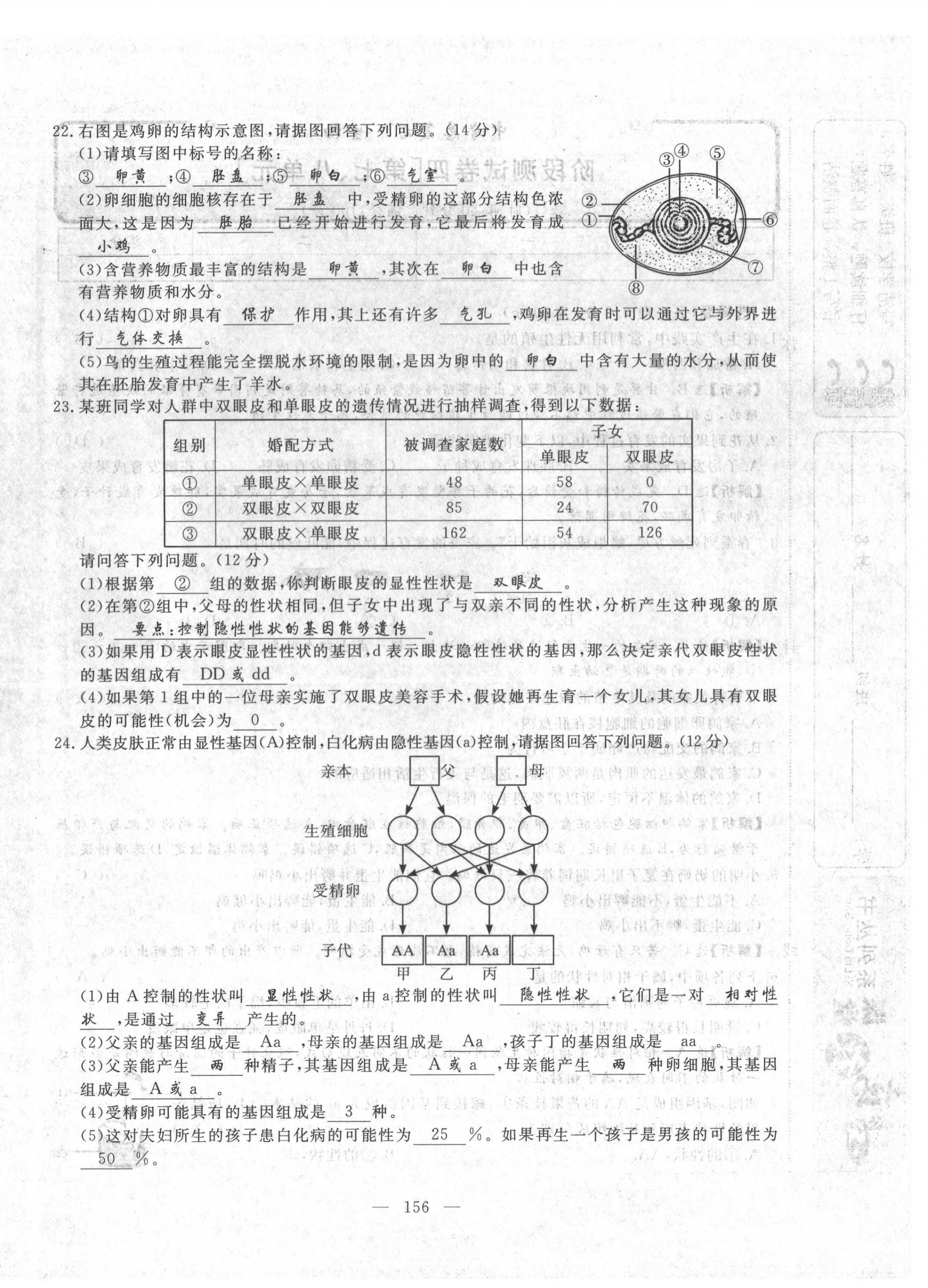 2022年351高效課堂導(dǎo)學(xué)案中考生物人教版 第16頁