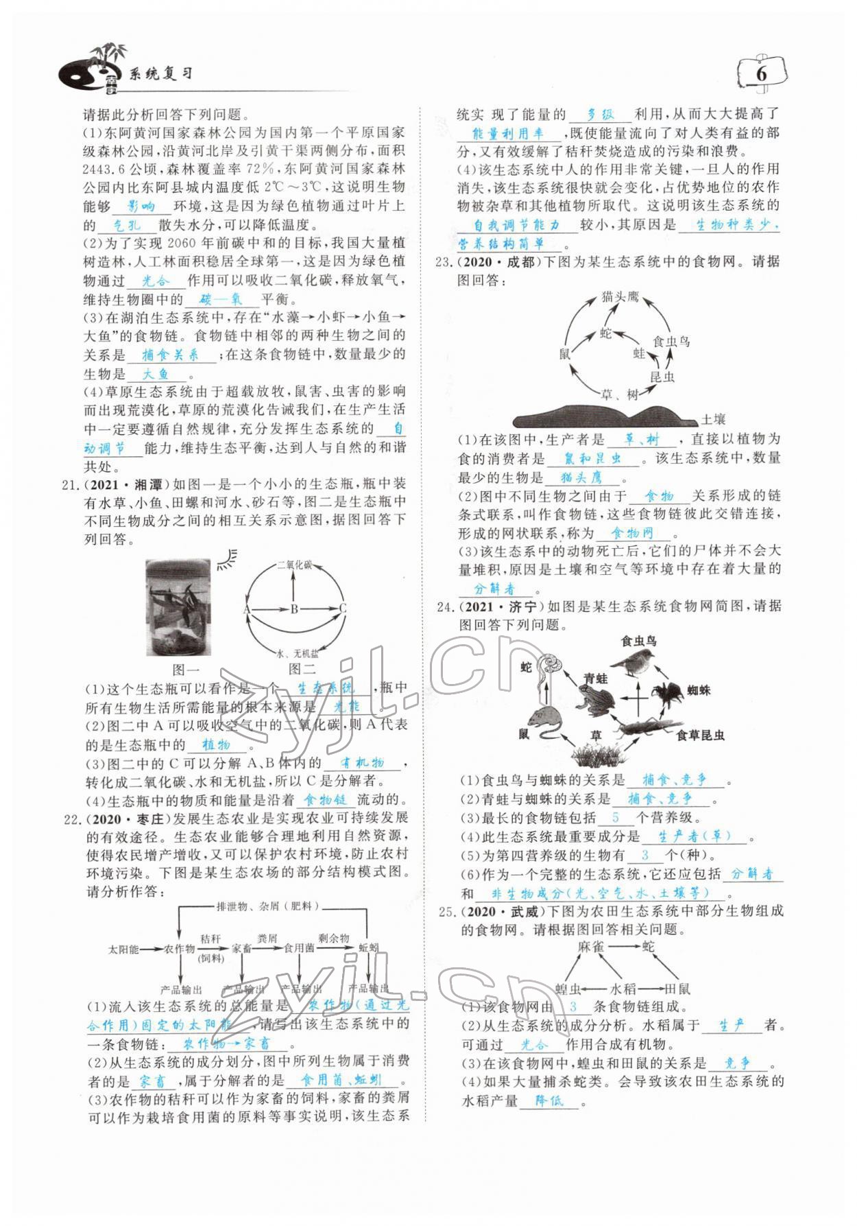 2022年351高效課堂導(dǎo)學(xué)案中考生物人教版 參考答案第6頁