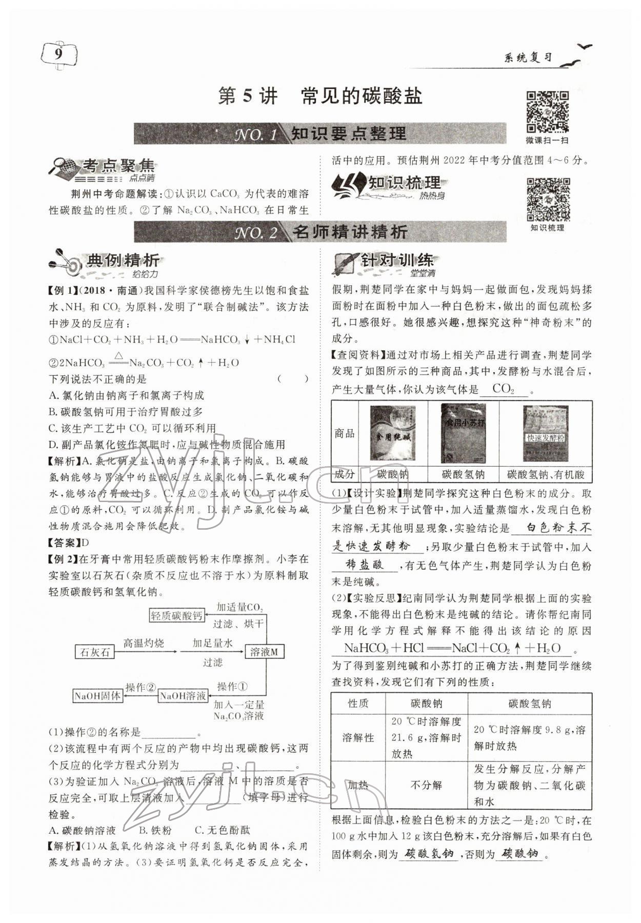 2022年荊州中考中考復習指南化學中考 參考答案第9頁