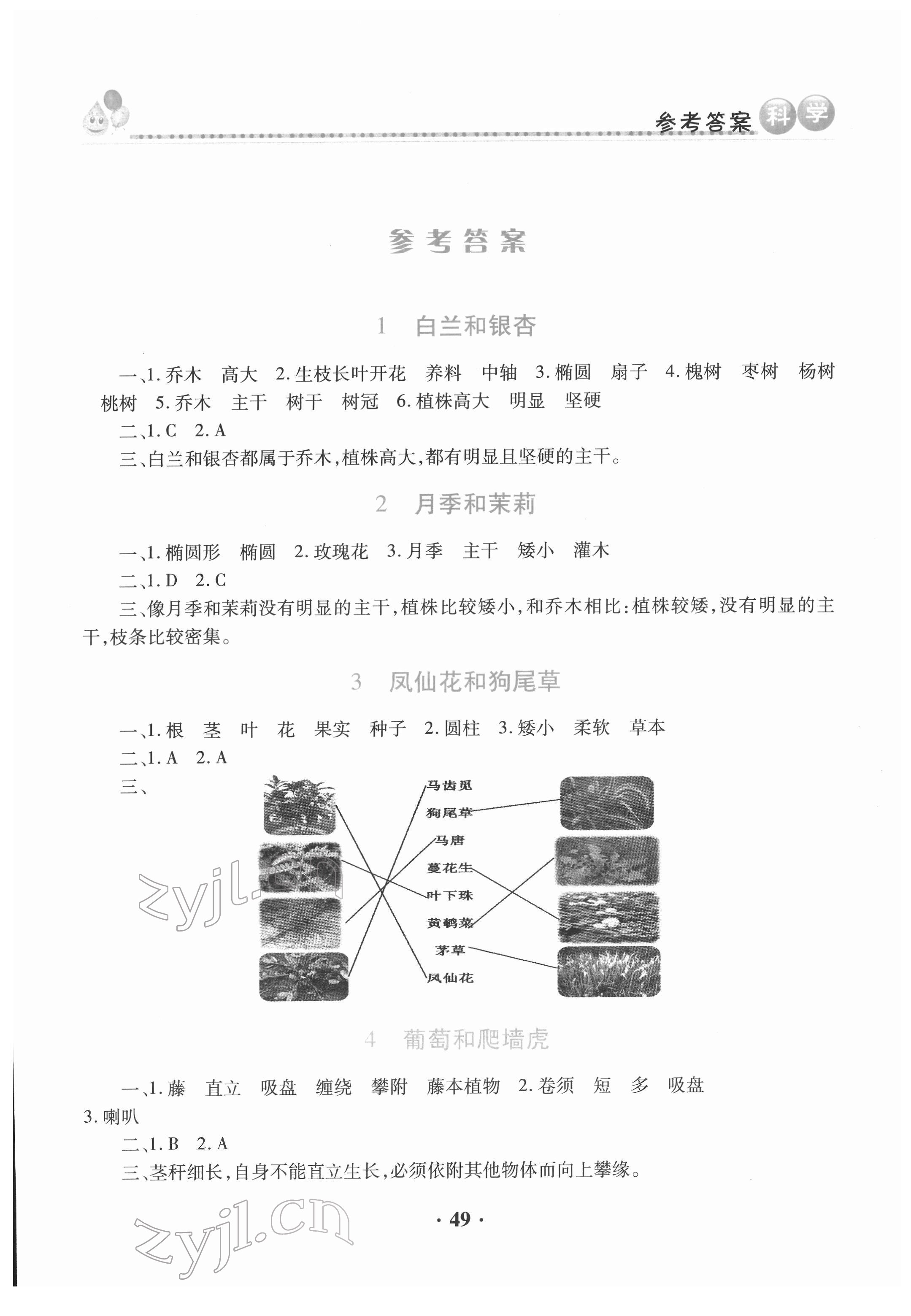 2022年同步活动册四年级科学下册科粤版 第1页