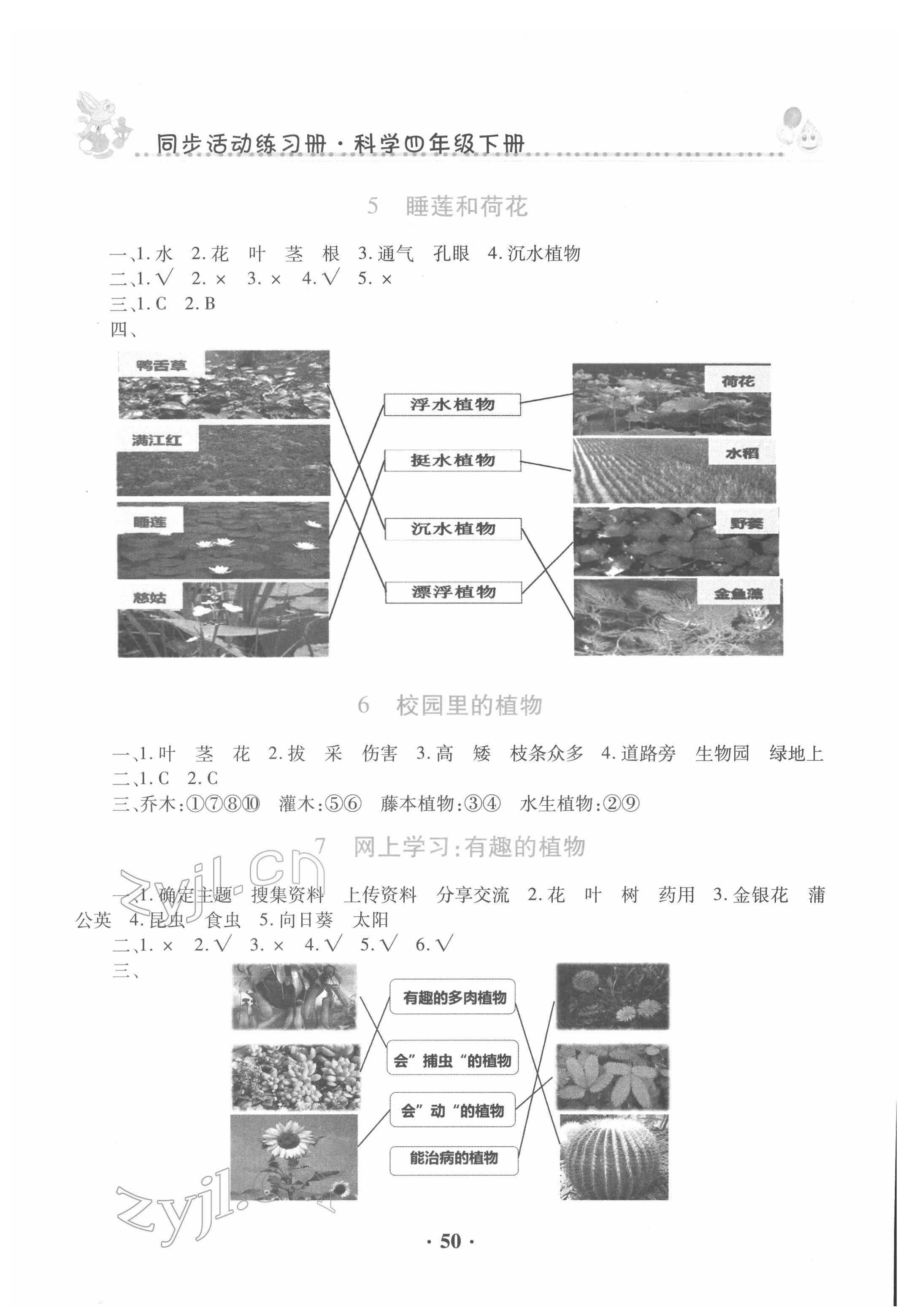2022年同步活动册四年级科学下册科粤版 第2页