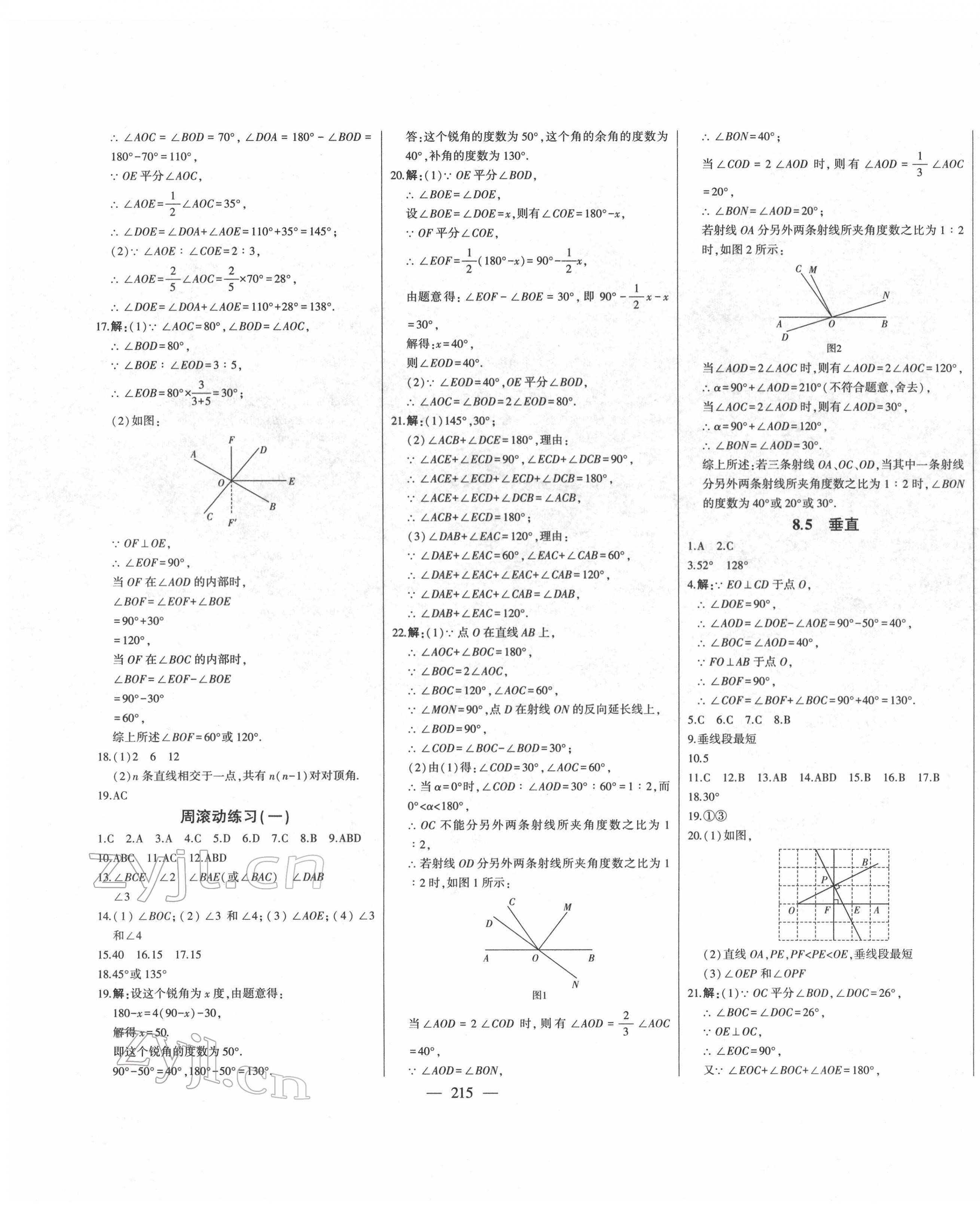 2022年初中新課標名師學案智慧大課堂七年級數(shù)學下冊青島版 第3頁