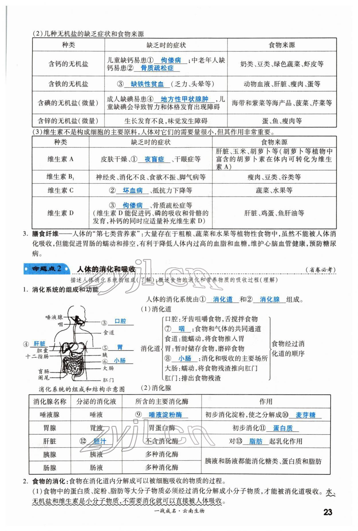 2022年一战成名考前新方案生物云南专版 第23页