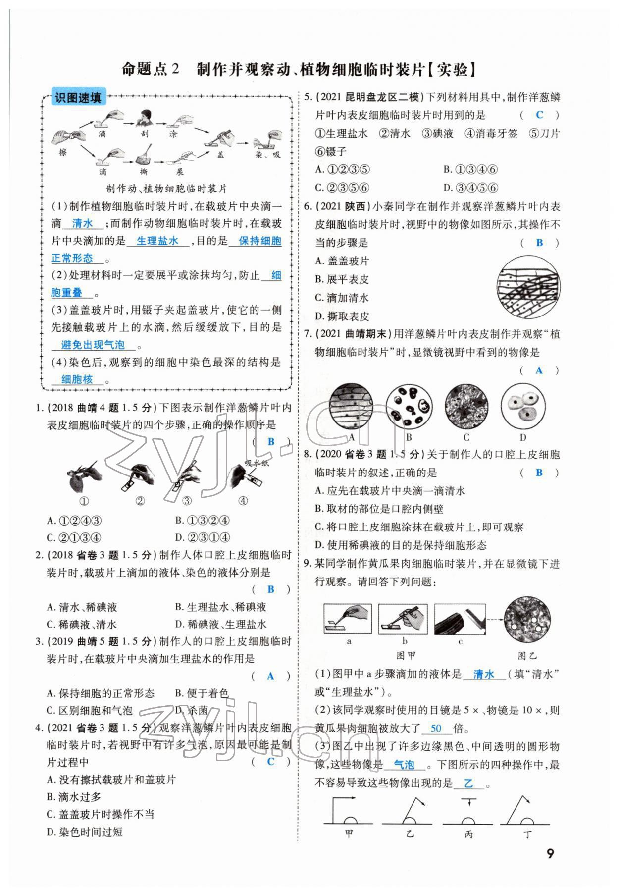 2022年一战成名考前新方案生物云南专版 参考答案第13页