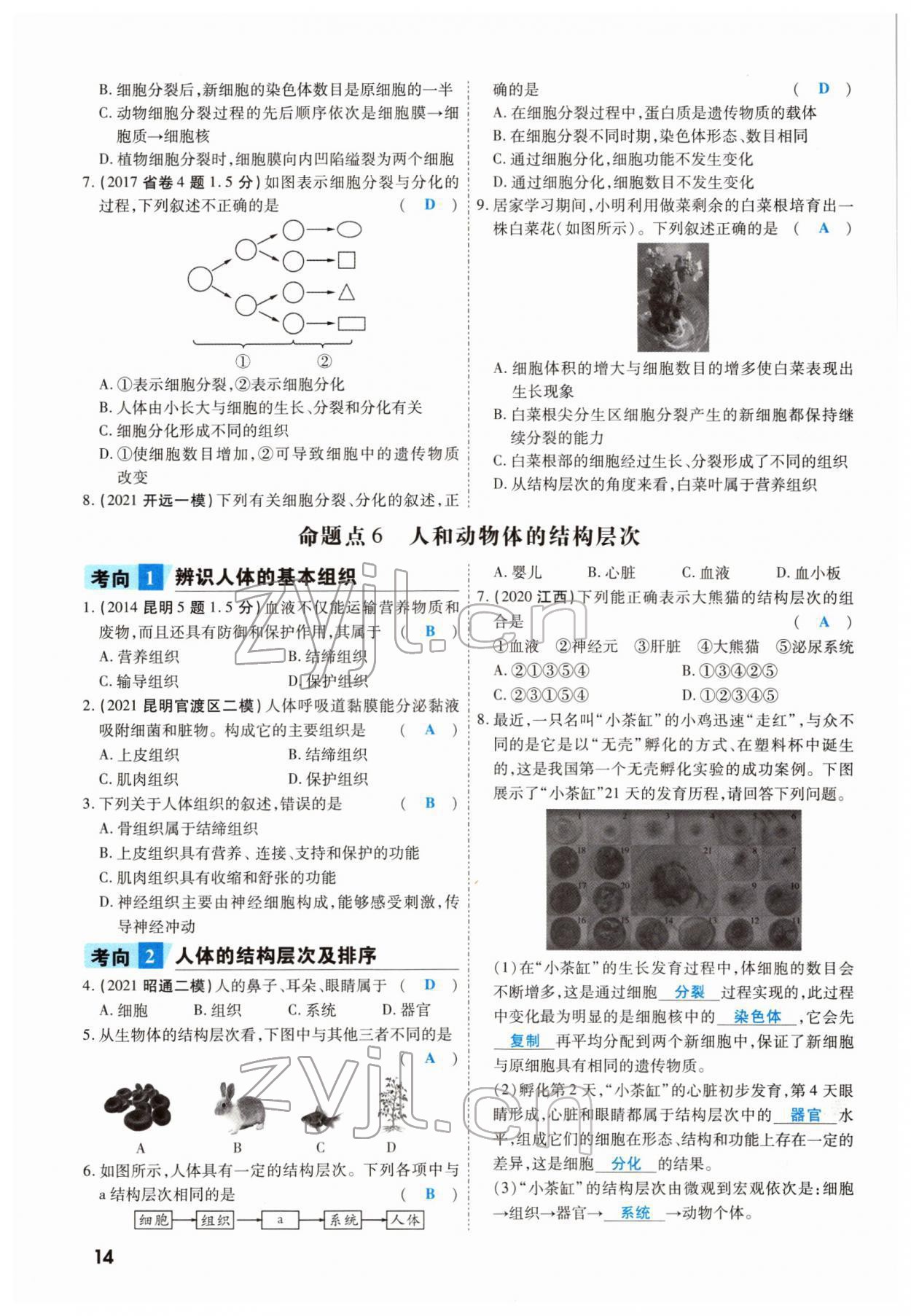 2022年一战成名考前新方案生物云南专版 参考答案第23页