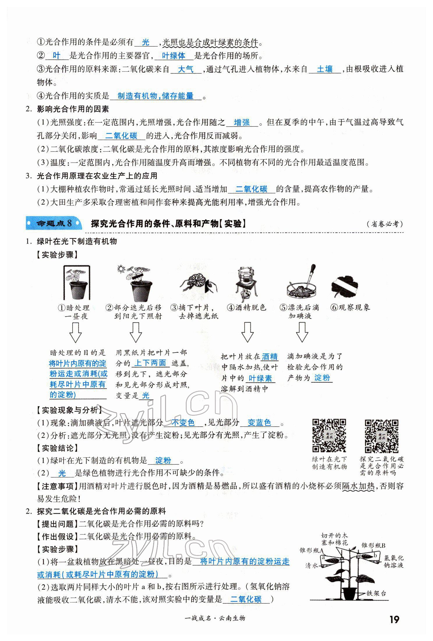 2022年一战成名考前新方案生物云南专版 第19页