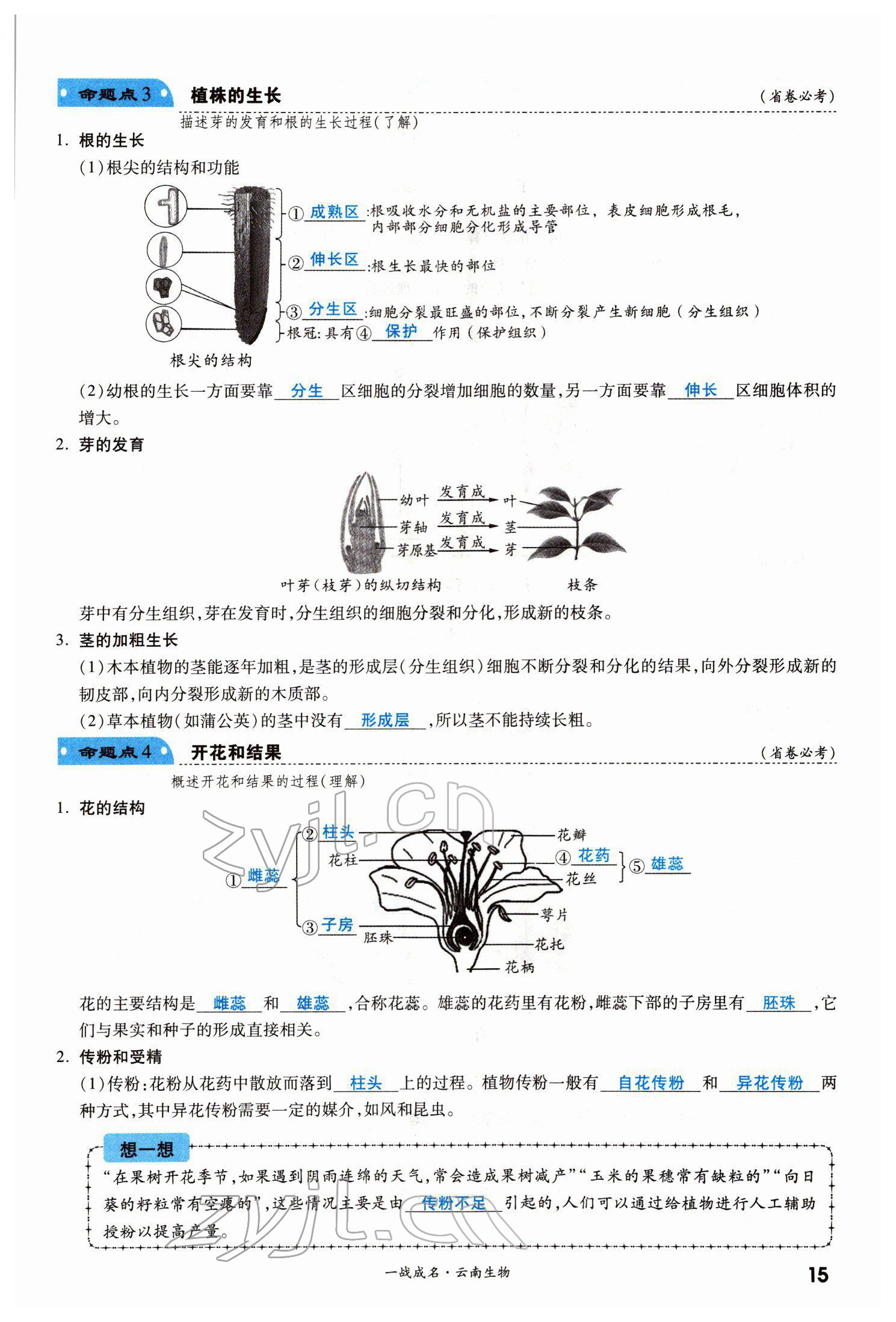 2022年一战成名考前新方案生物云南专版 第15页