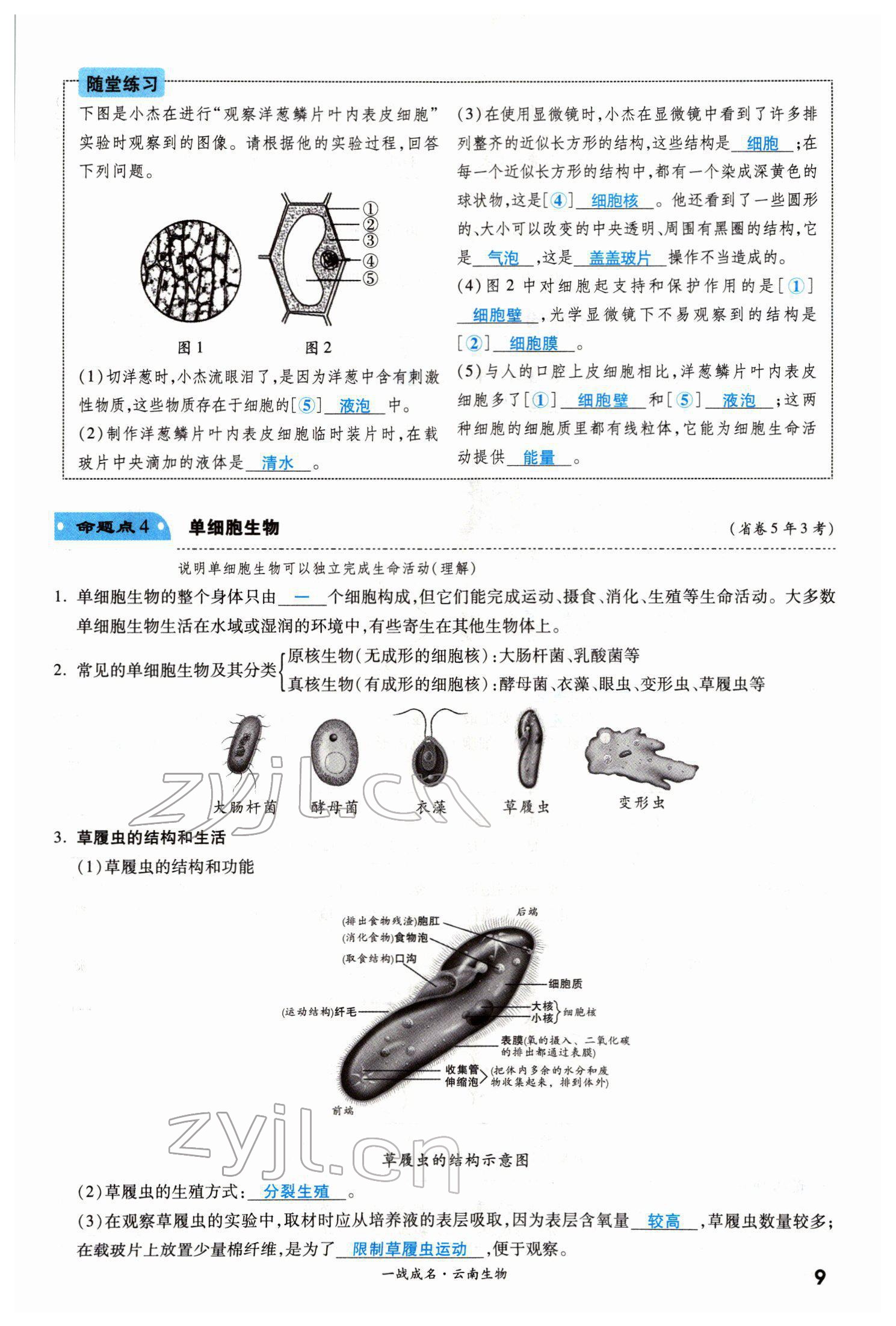 2022年一战成名考前新方案生物云南专版 第9页