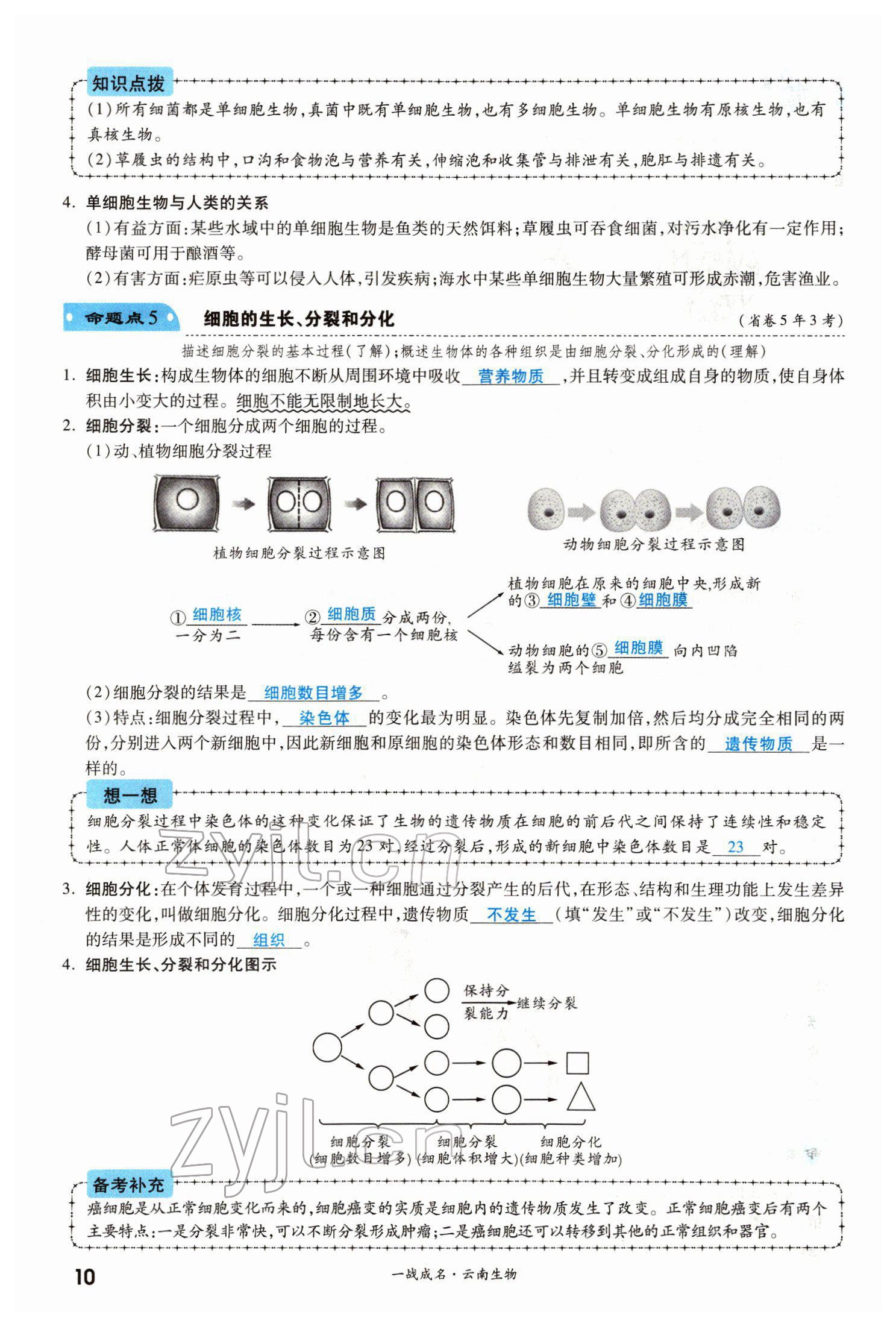 2022年一战成名考前新方案生物云南专版 第10页