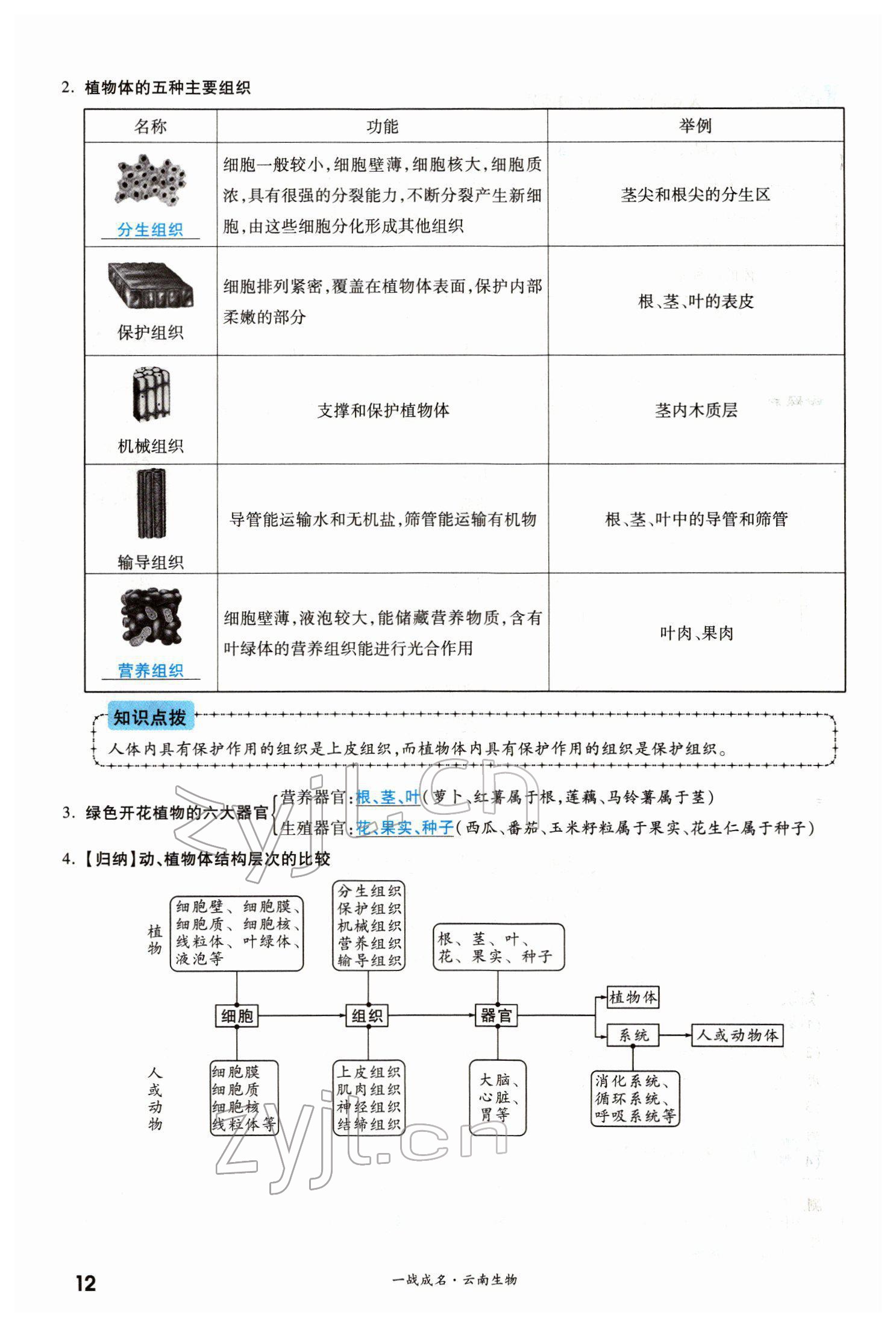 2022年一战成名考前新方案生物云南专版 第12页