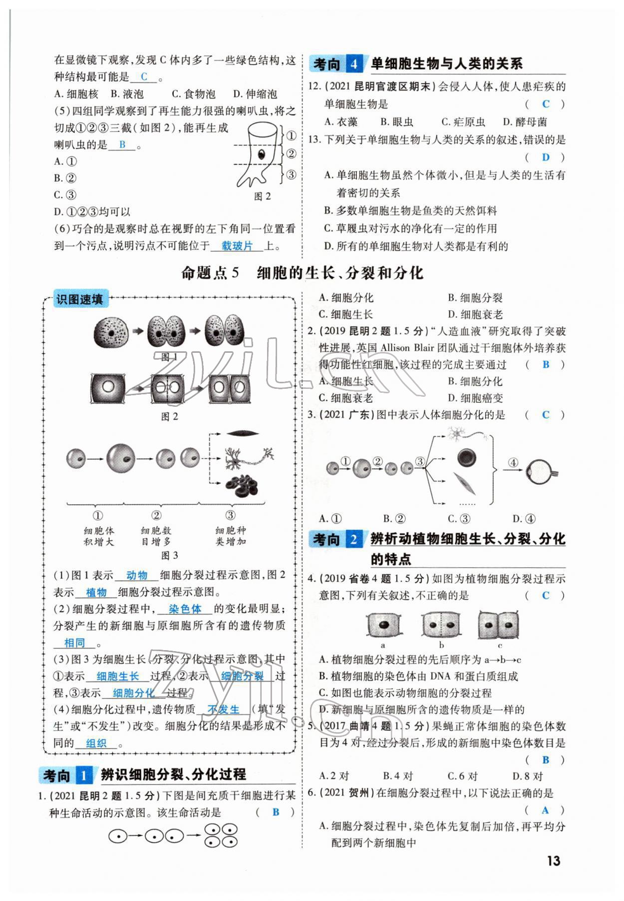 2022年一战成名考前新方案生物云南专版 参考答案第21页