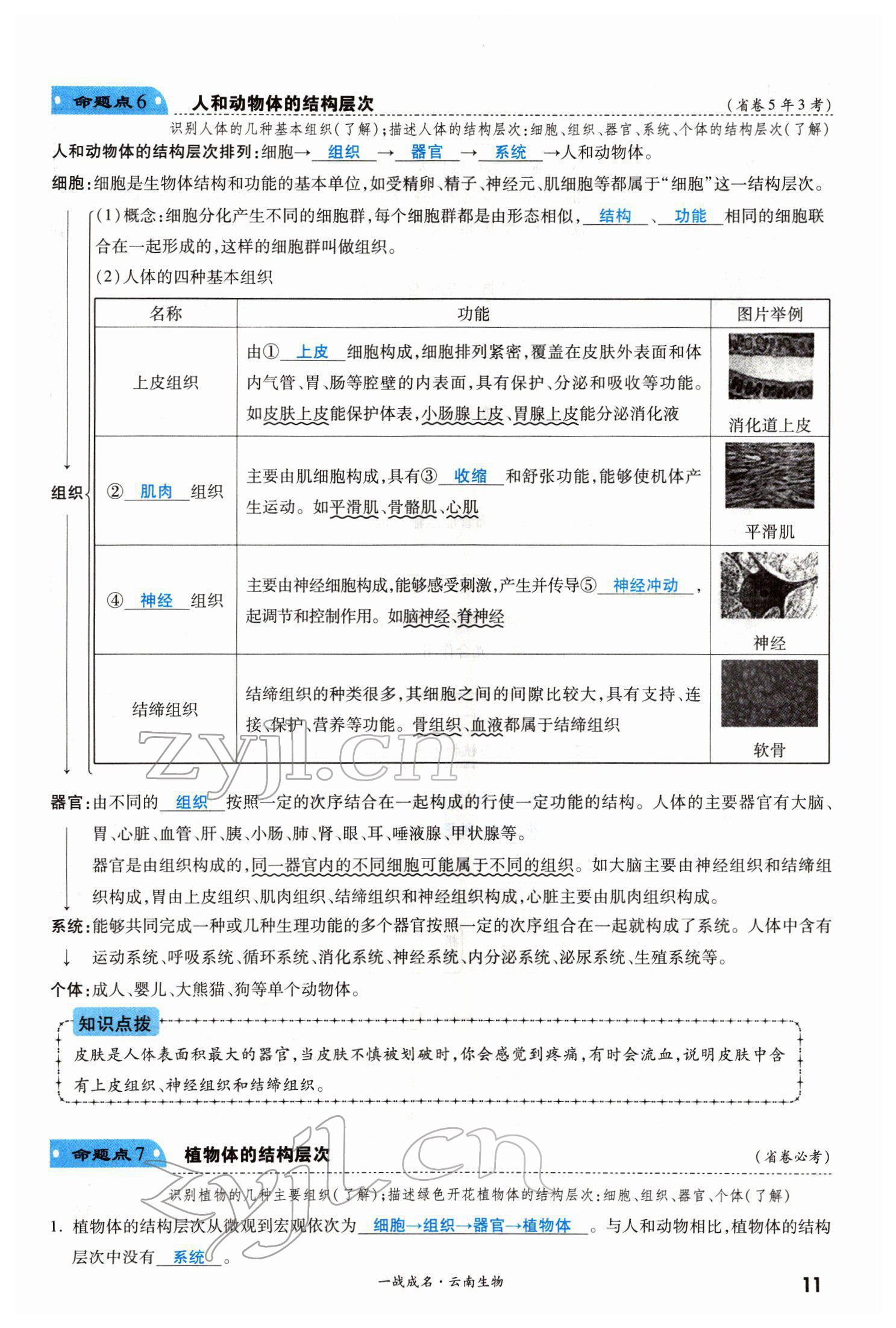 2022年一战成名考前新方案生物云南专版 第11页